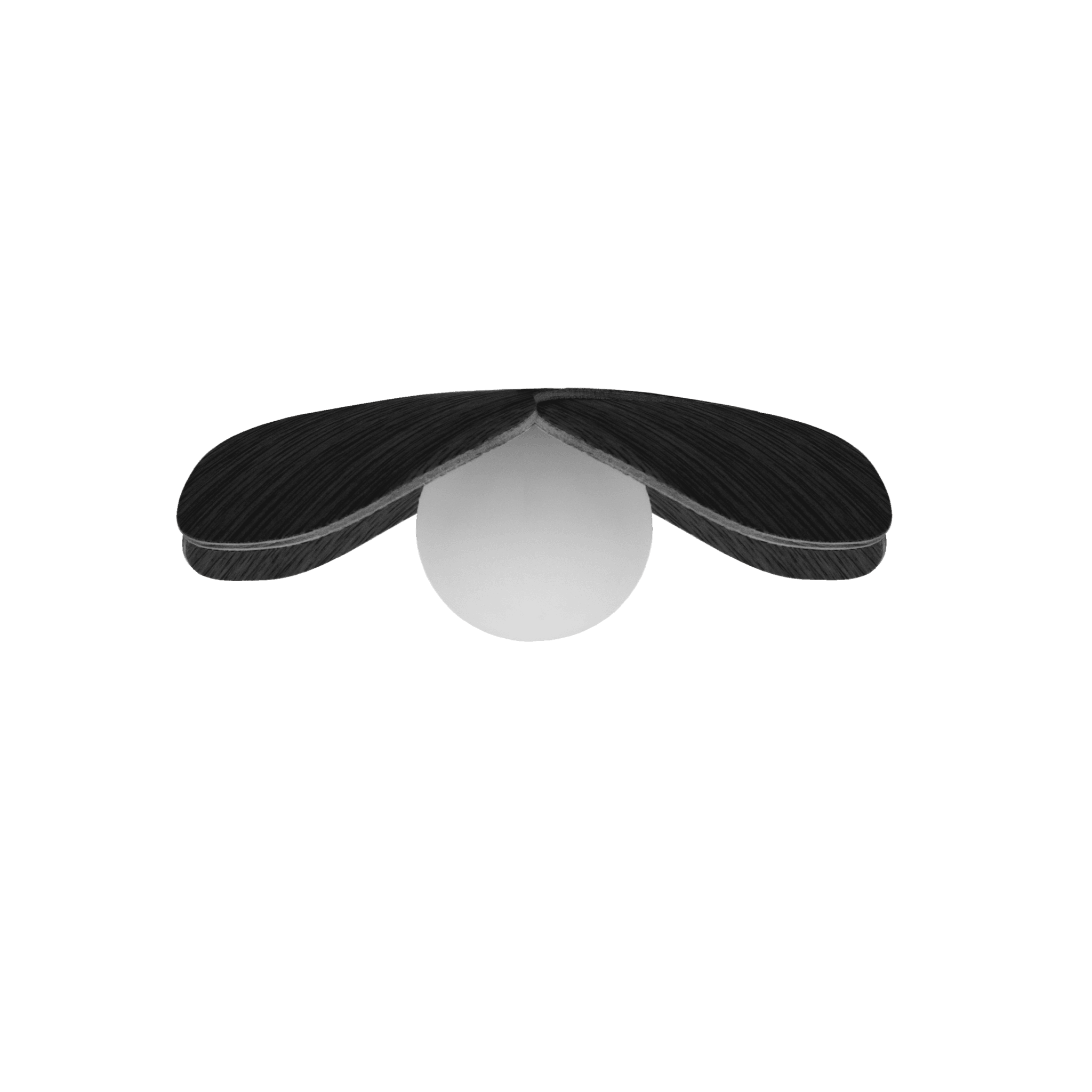 Abażur FORGET ME NOT czarny dąb UMAGE Ø19 x 4 cm Eye on Design