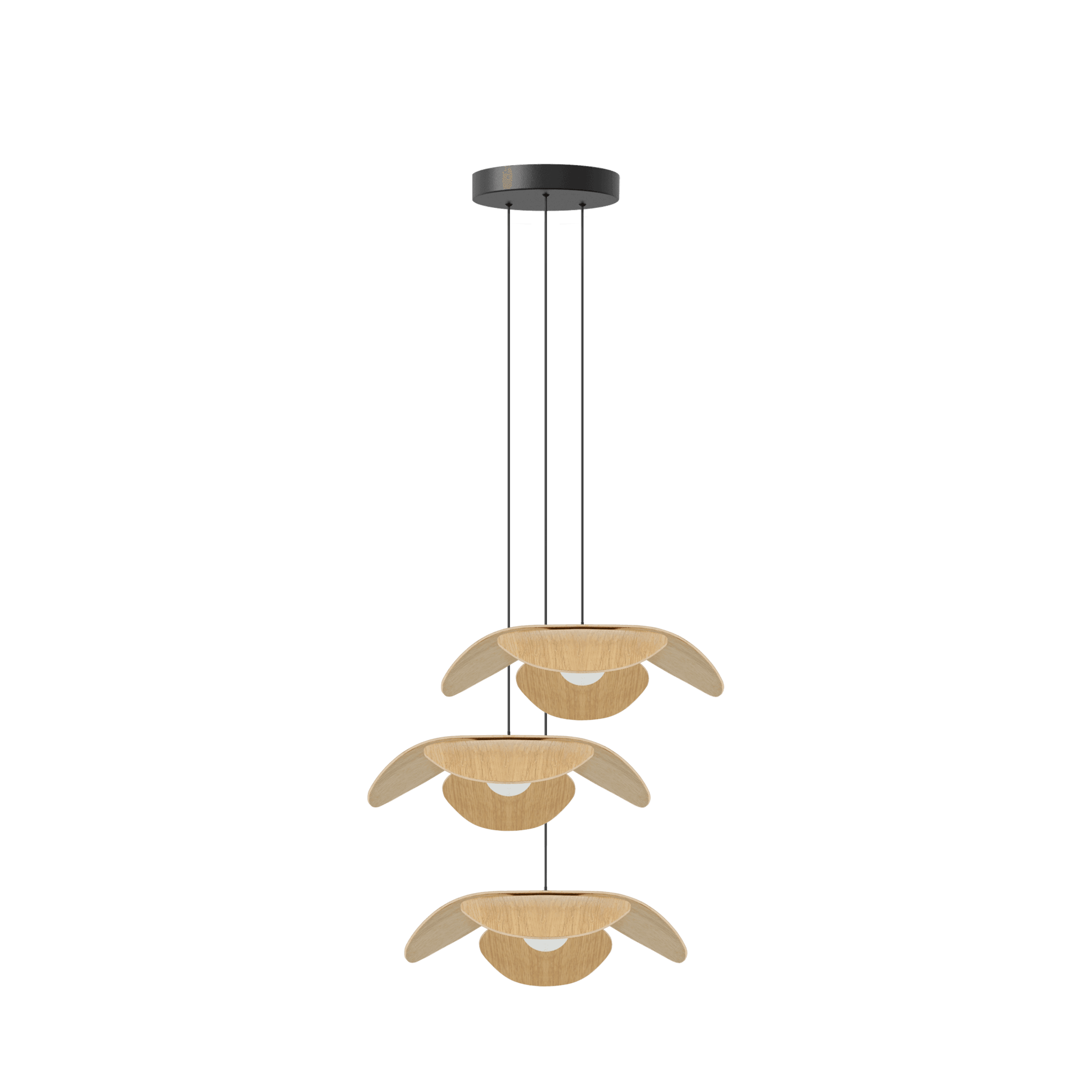 Abażur FORGET ME NOT dąb UMAGE Eye on Design