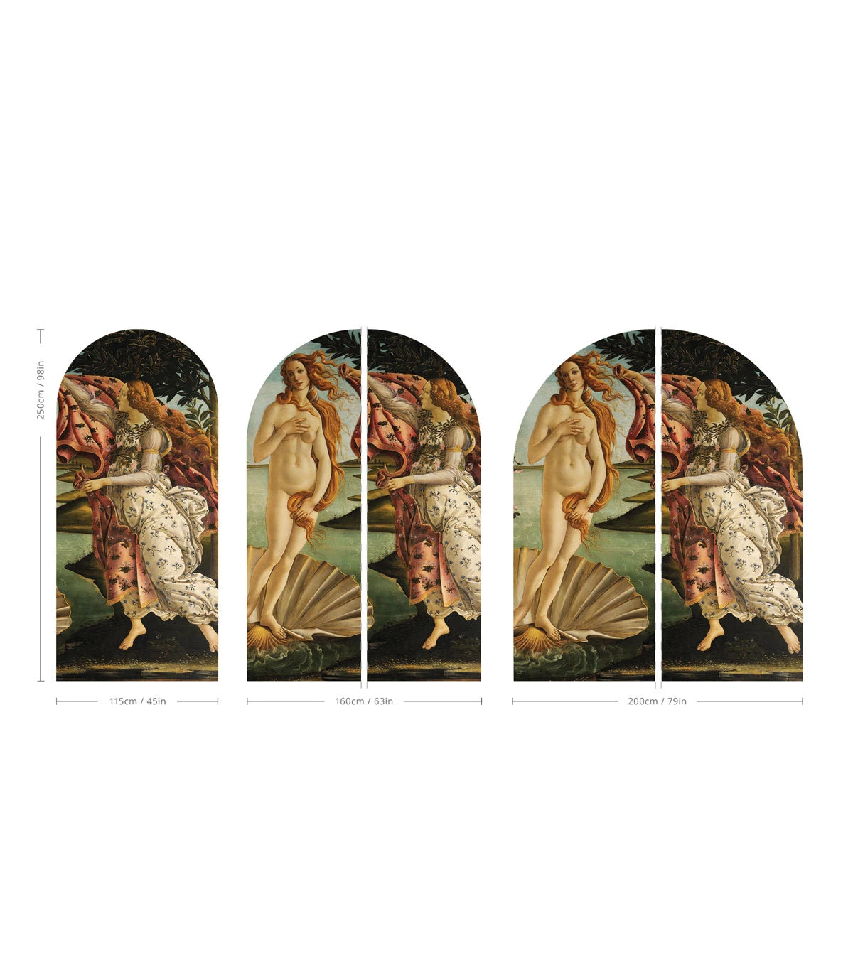 Non-woven mural in the shape of an arch BIRTH OF VENUS green with blue