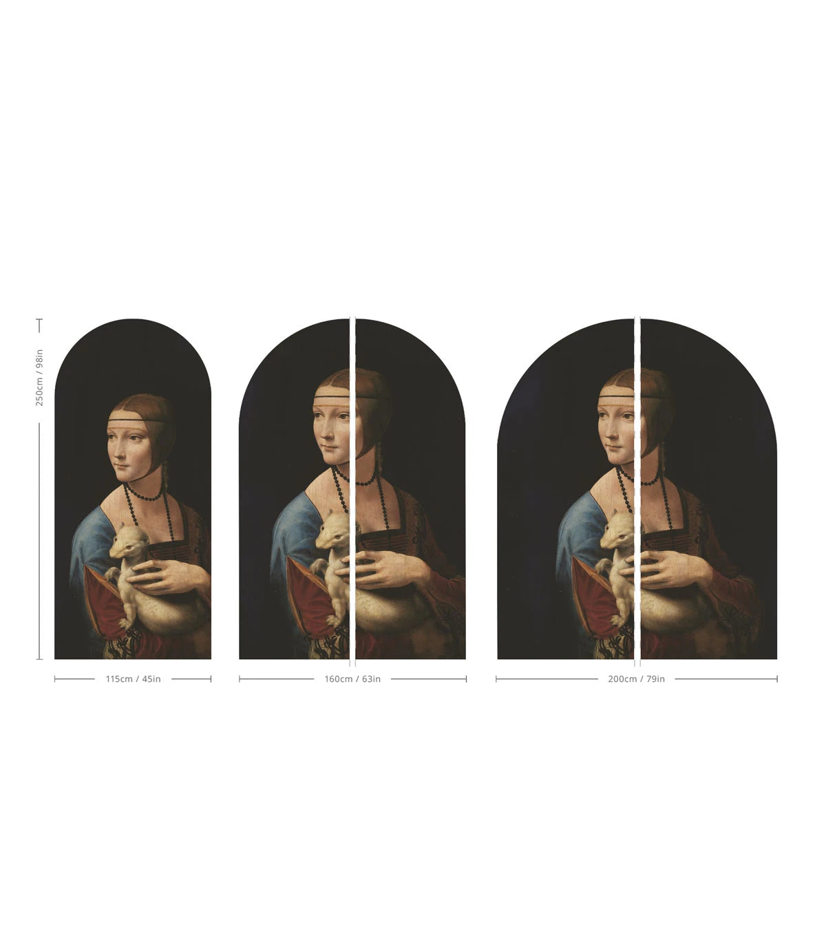 Vliesbehang in boogvorm LADY MET EEN ERMINE zwart