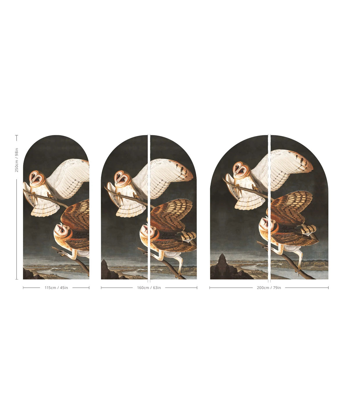 Non-woven mural in the shape of an arch OWLS dark gray