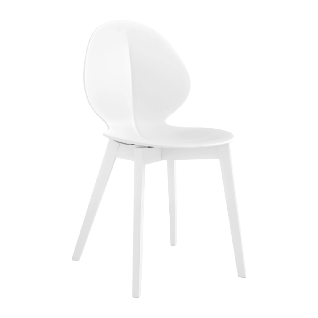Stuhl BASIL mit weißem Sitz und weißem Holzgestell
