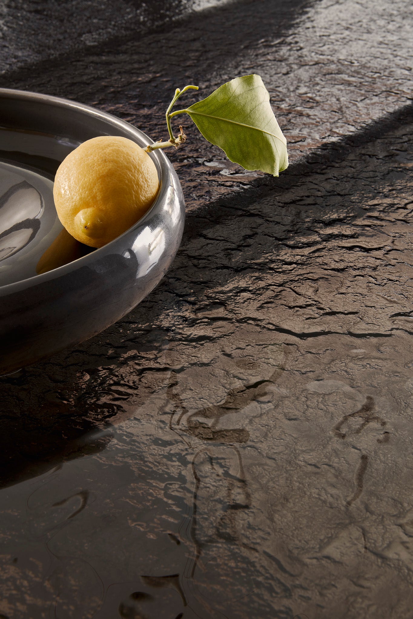 SEASHELL table with glass top and graphite base