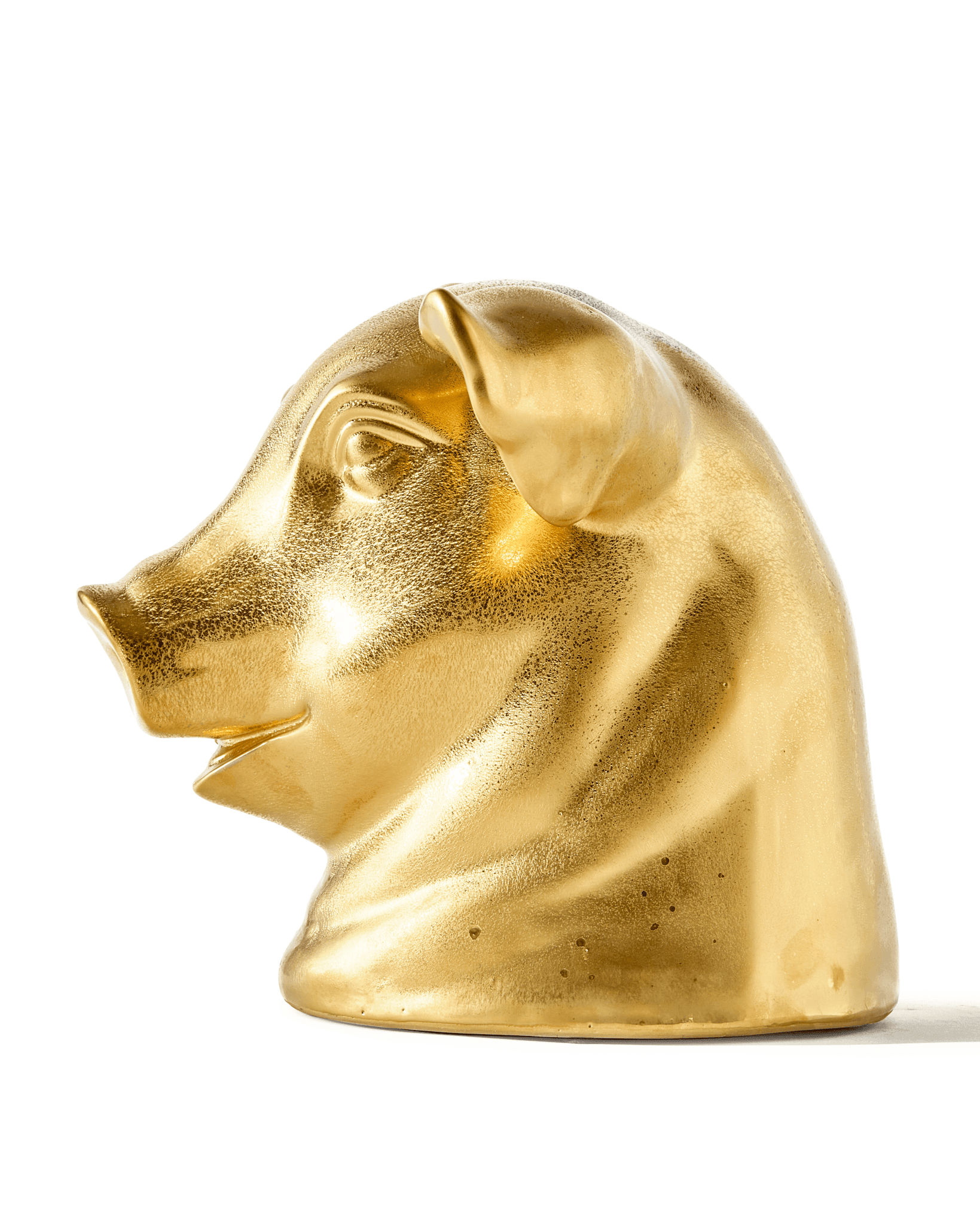 Dekoracyjna skarbonka DON'T EAT ME, SAVE ME - PIG złoty Pols Potten Eye on Design