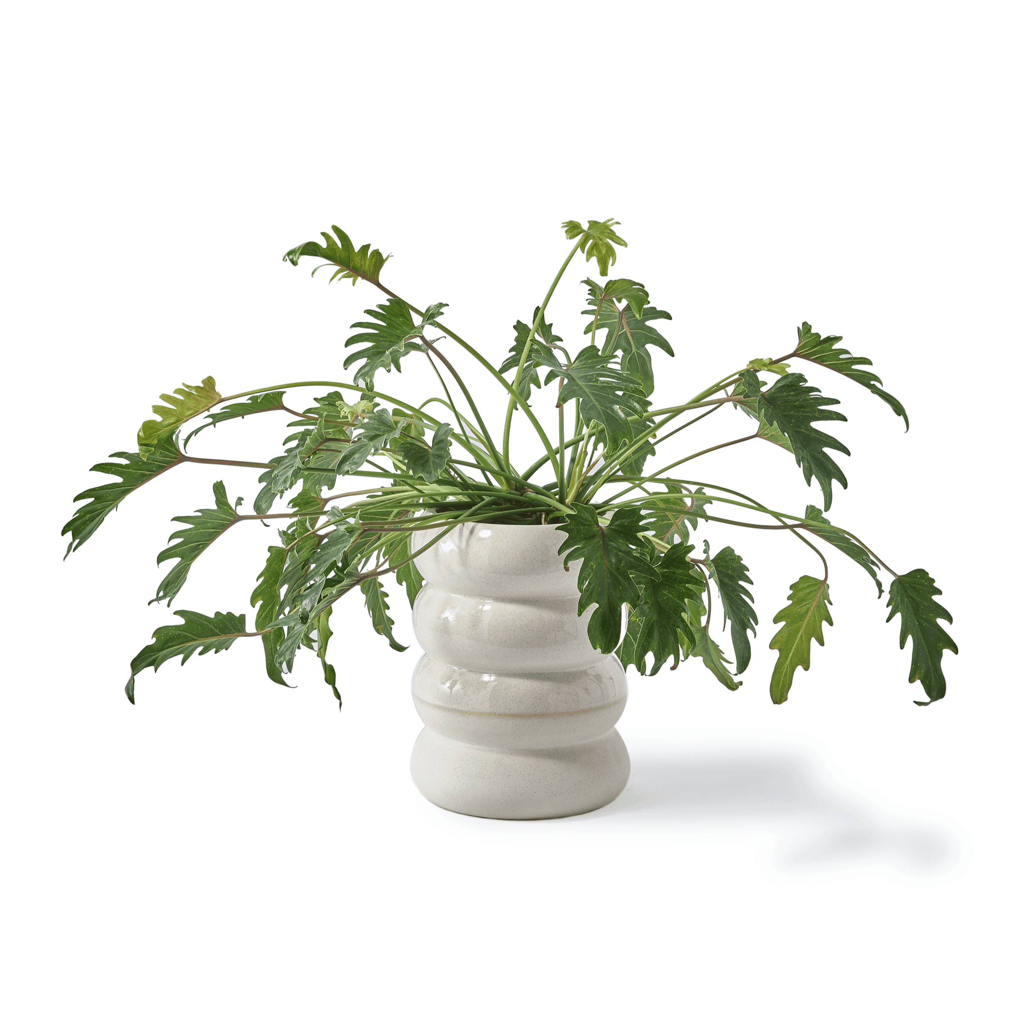 Doniczka CHUBBY biały Pols Potten Eye on Design