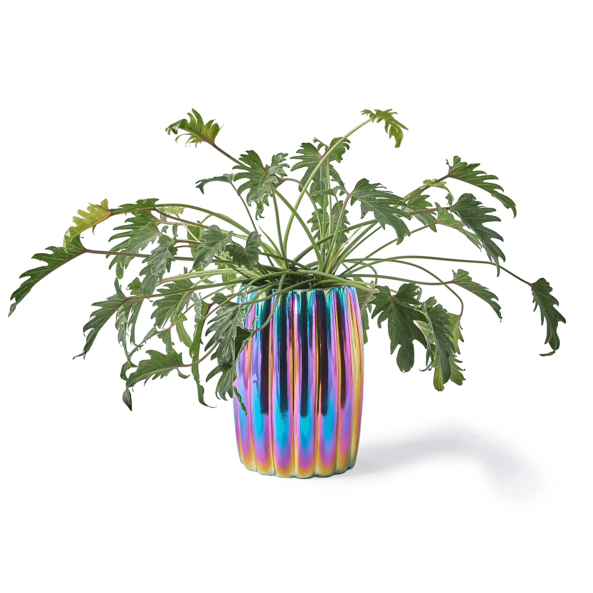 Doniczka CURVY tęczowy Pols Potten Eye on Design