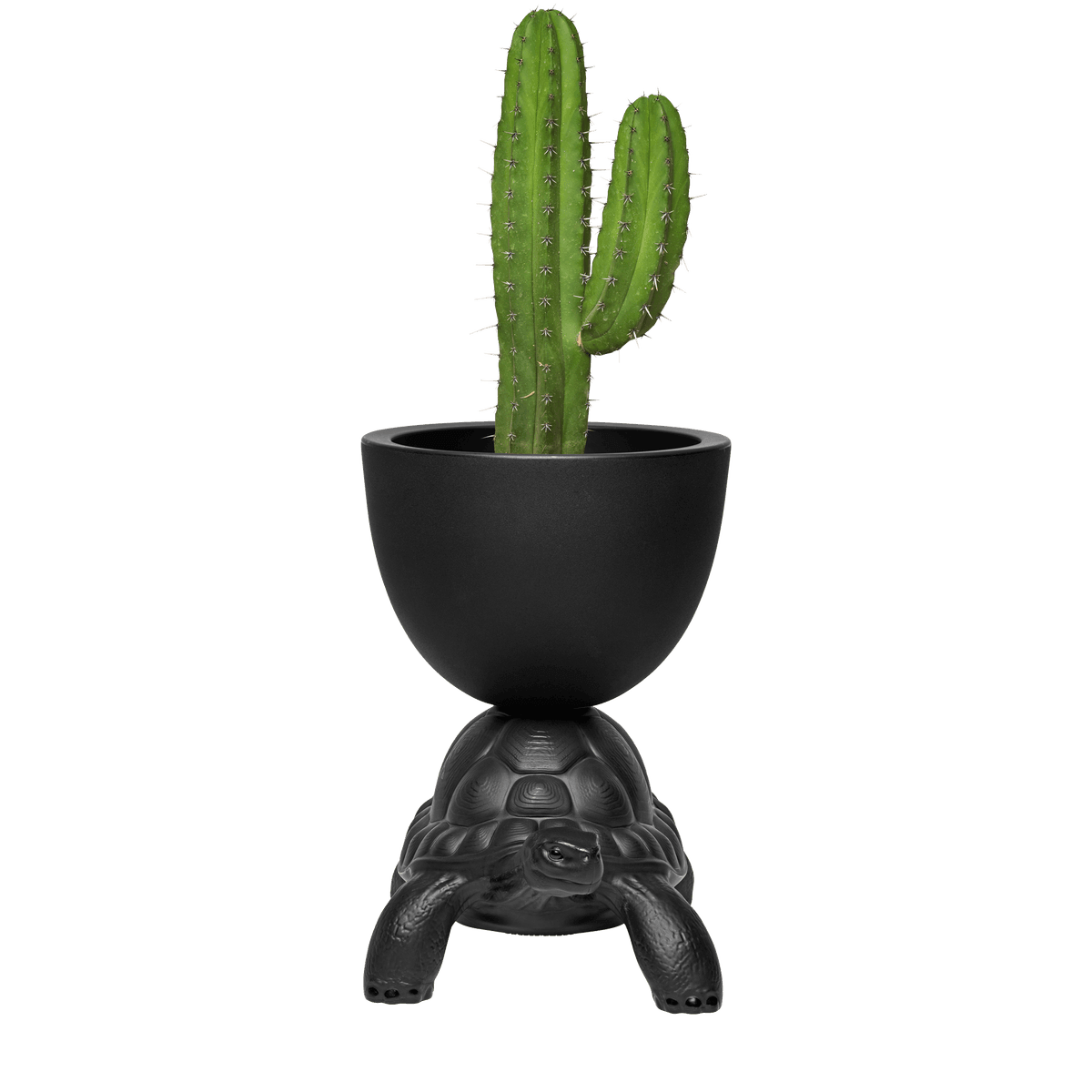 Doniczka TURTLE CARRY czarny Qeeboo Eye on Design