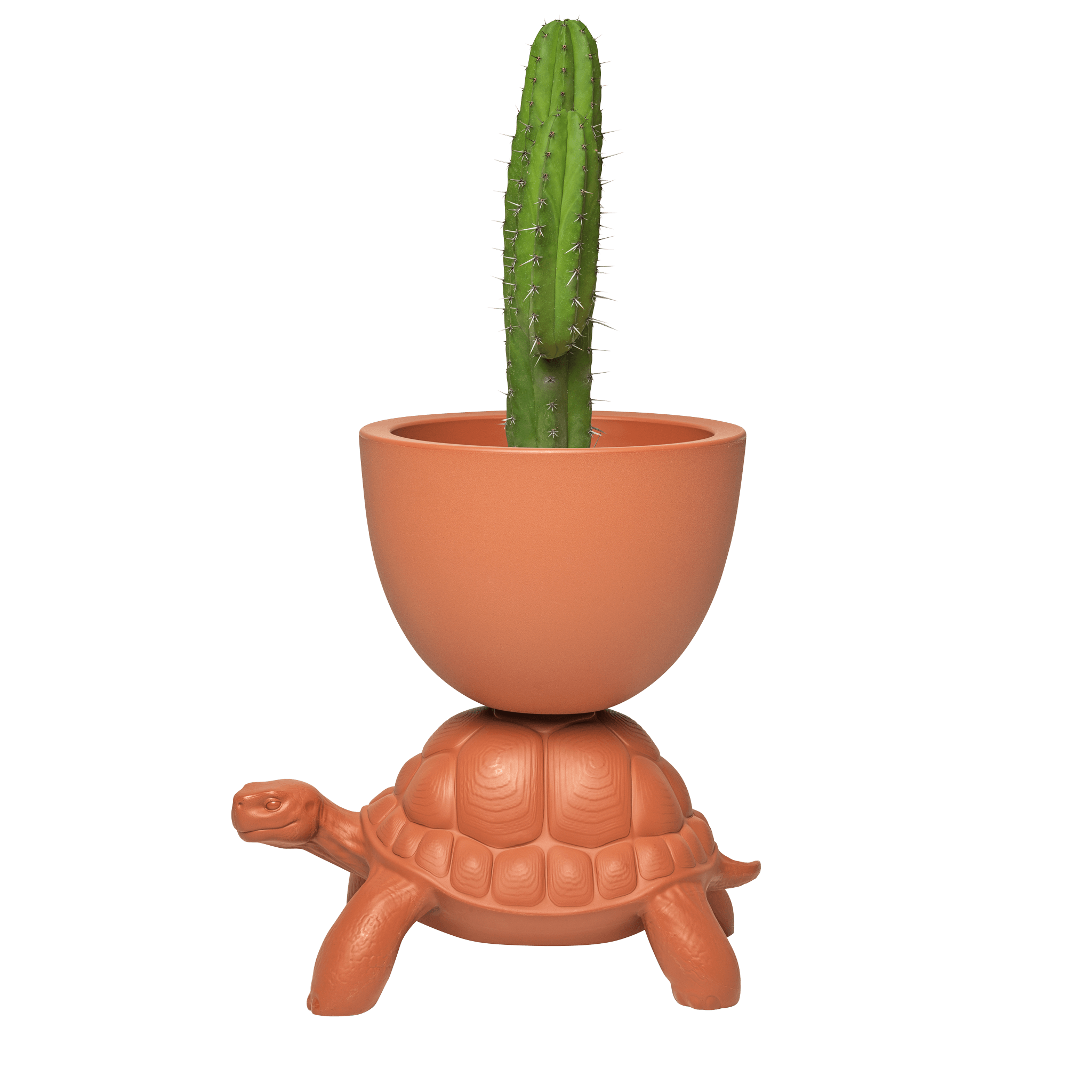 Doniczka TURTLE CARRY terakota Qeeboo Eye on Design