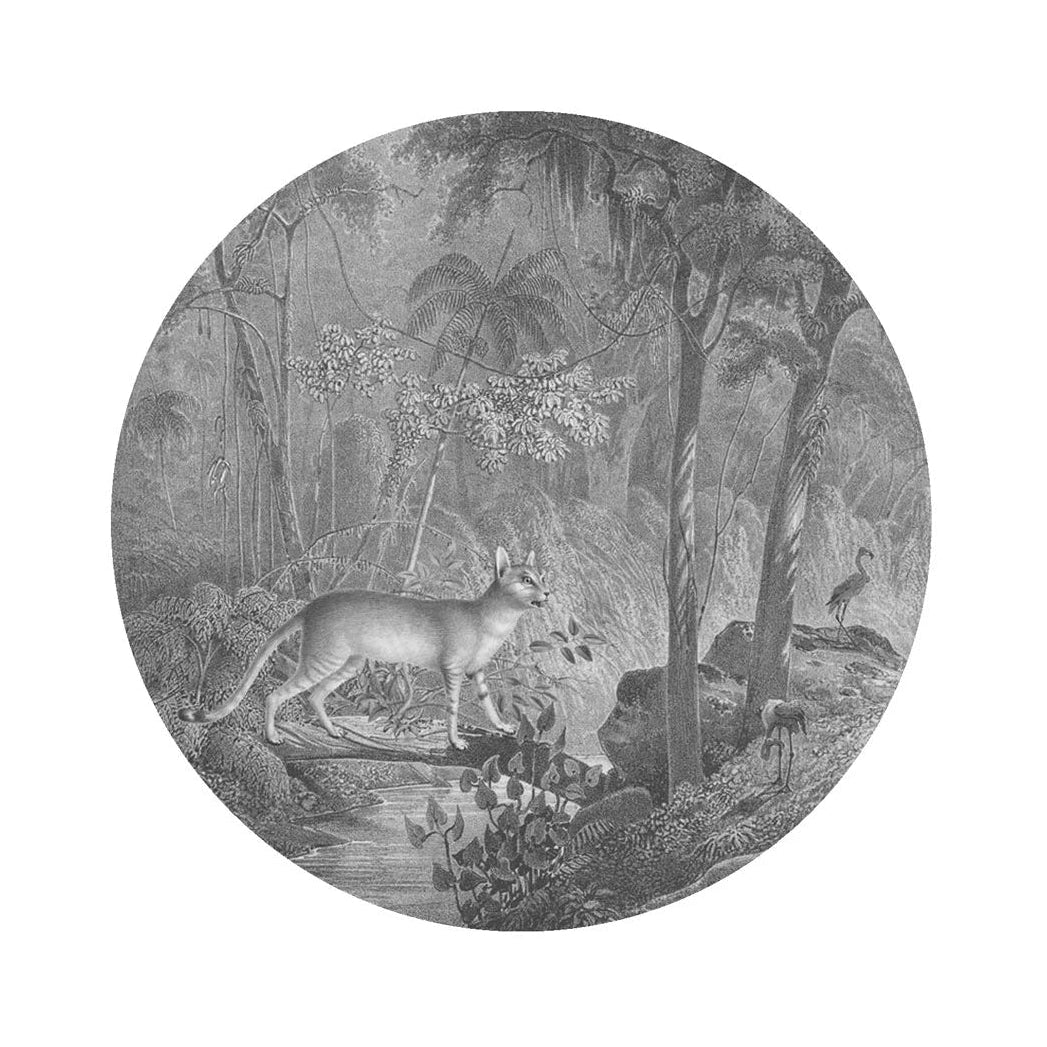 Mural w kształcie koła DOTS - JUNGLE CAT grau