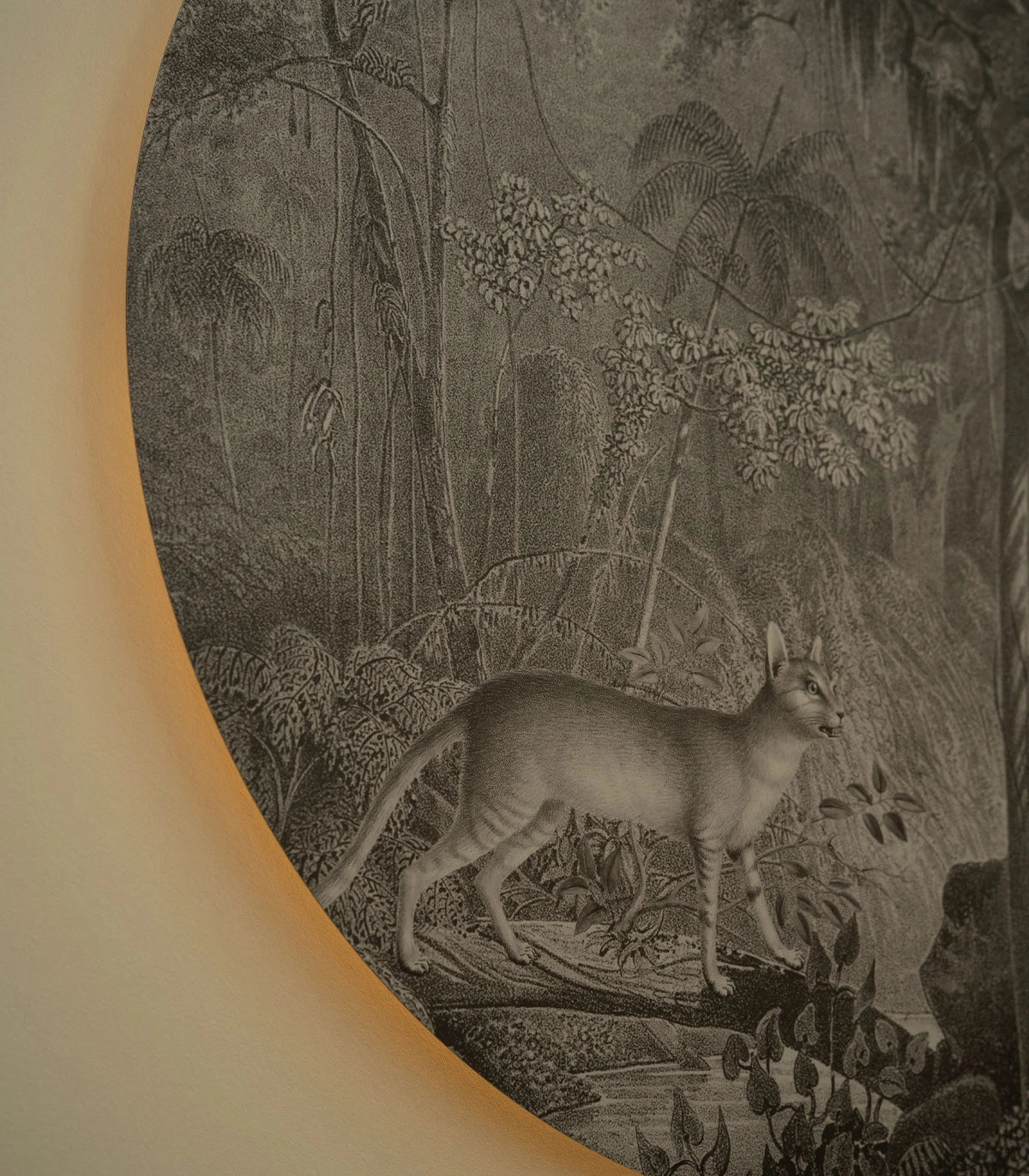 Wandlamp DOTS LIGHTING - JUNGLE CAT grijs