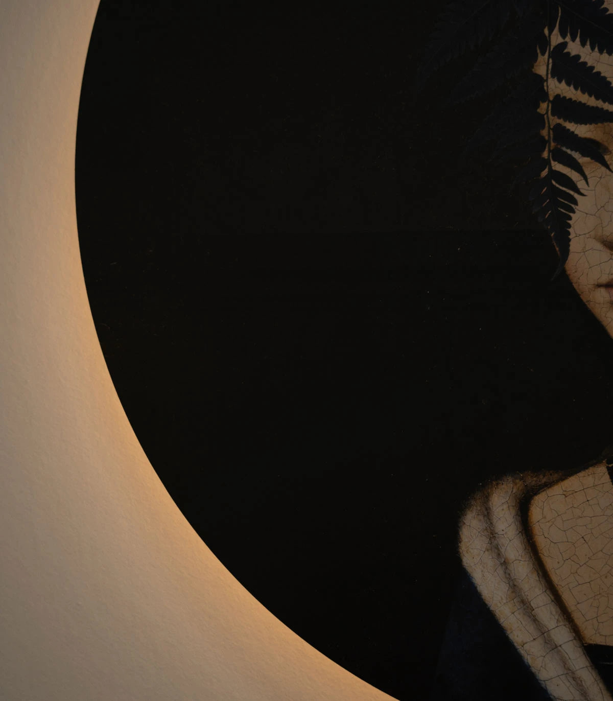 Wandlamp DOTS LIGHTING - LADY FERN donkerbruin