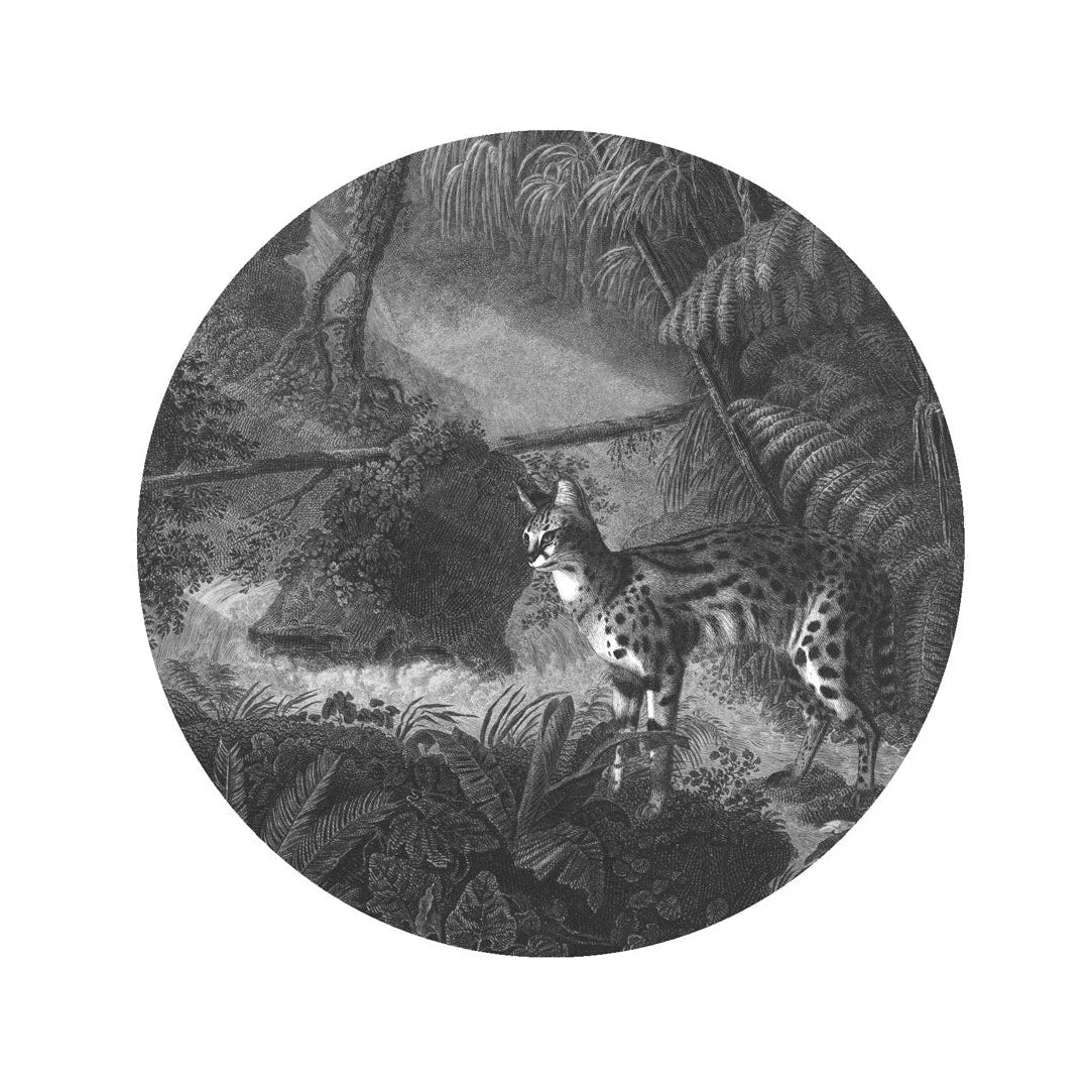 Circle-shaped mural DOTS - PALMS AND CATS dark gray