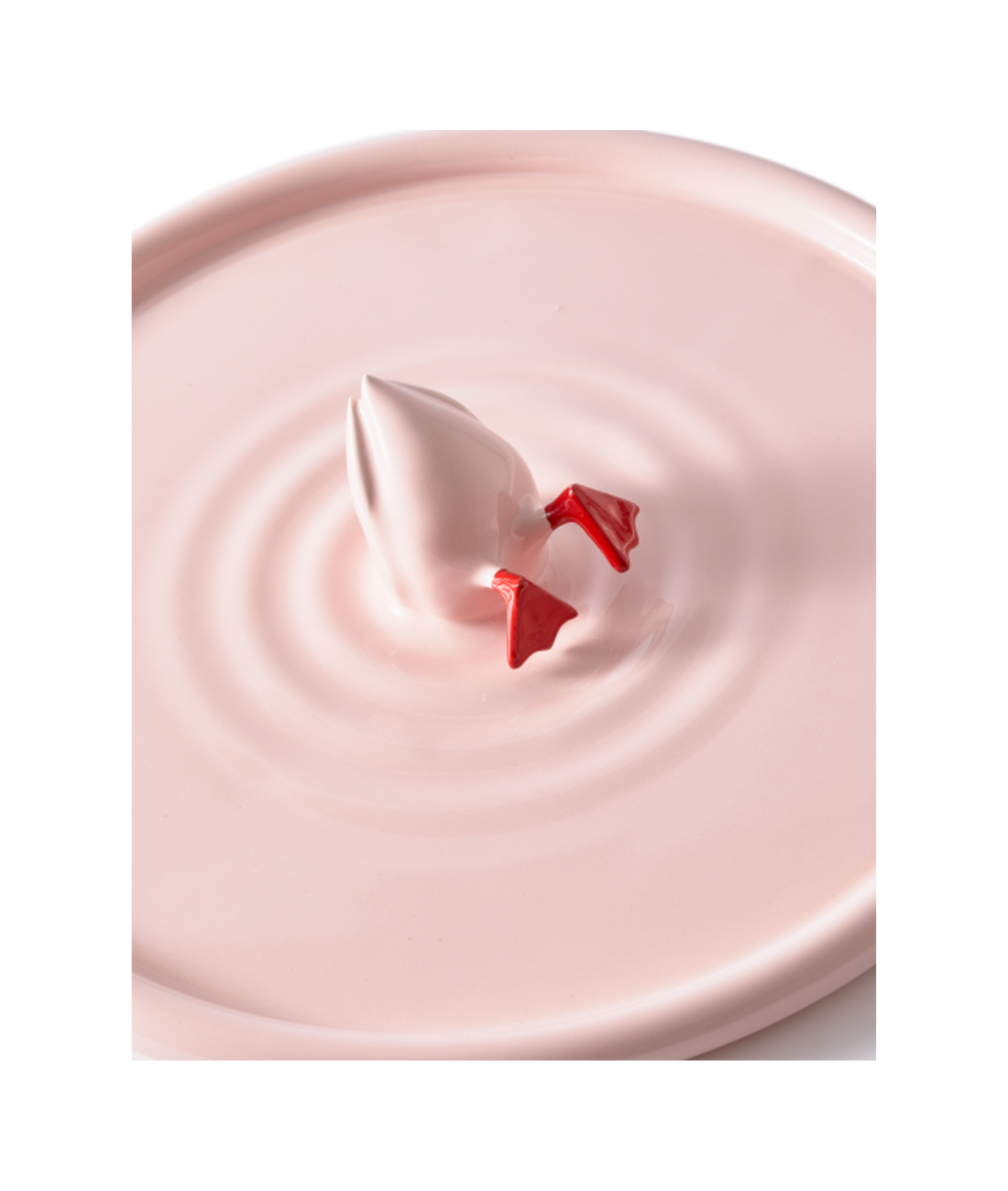 DUIKER EEND jasnorozig