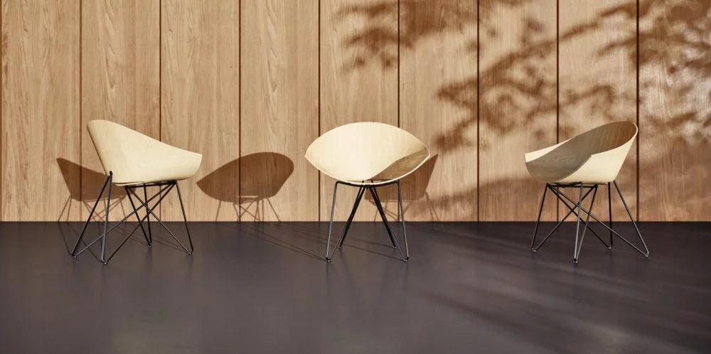 Krzesło RM56 buk Vzór Eye on Design