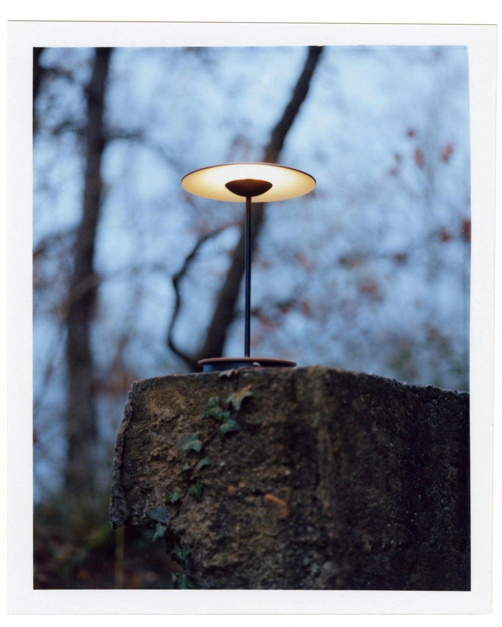 Lampa akumulatorowa GINGER ciemnobrązowy Marset Eye on Design