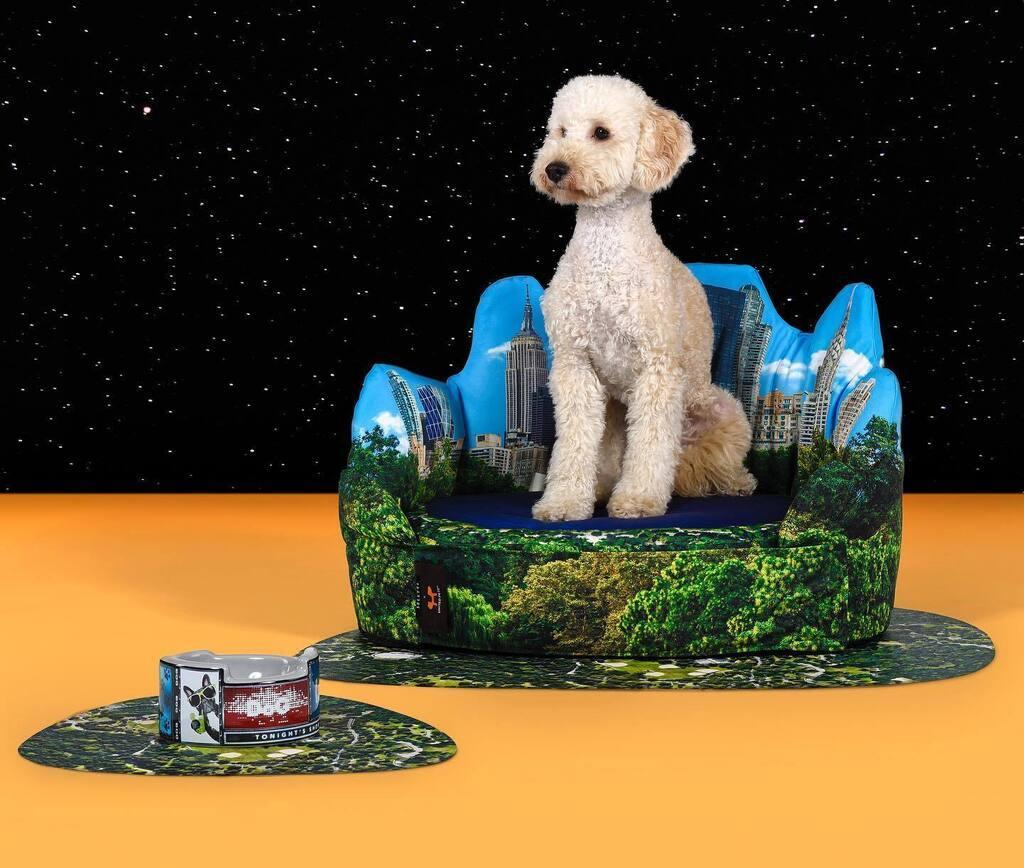 Legowisko PETS (R)EVOLUTION New York Seletti Eye on Design