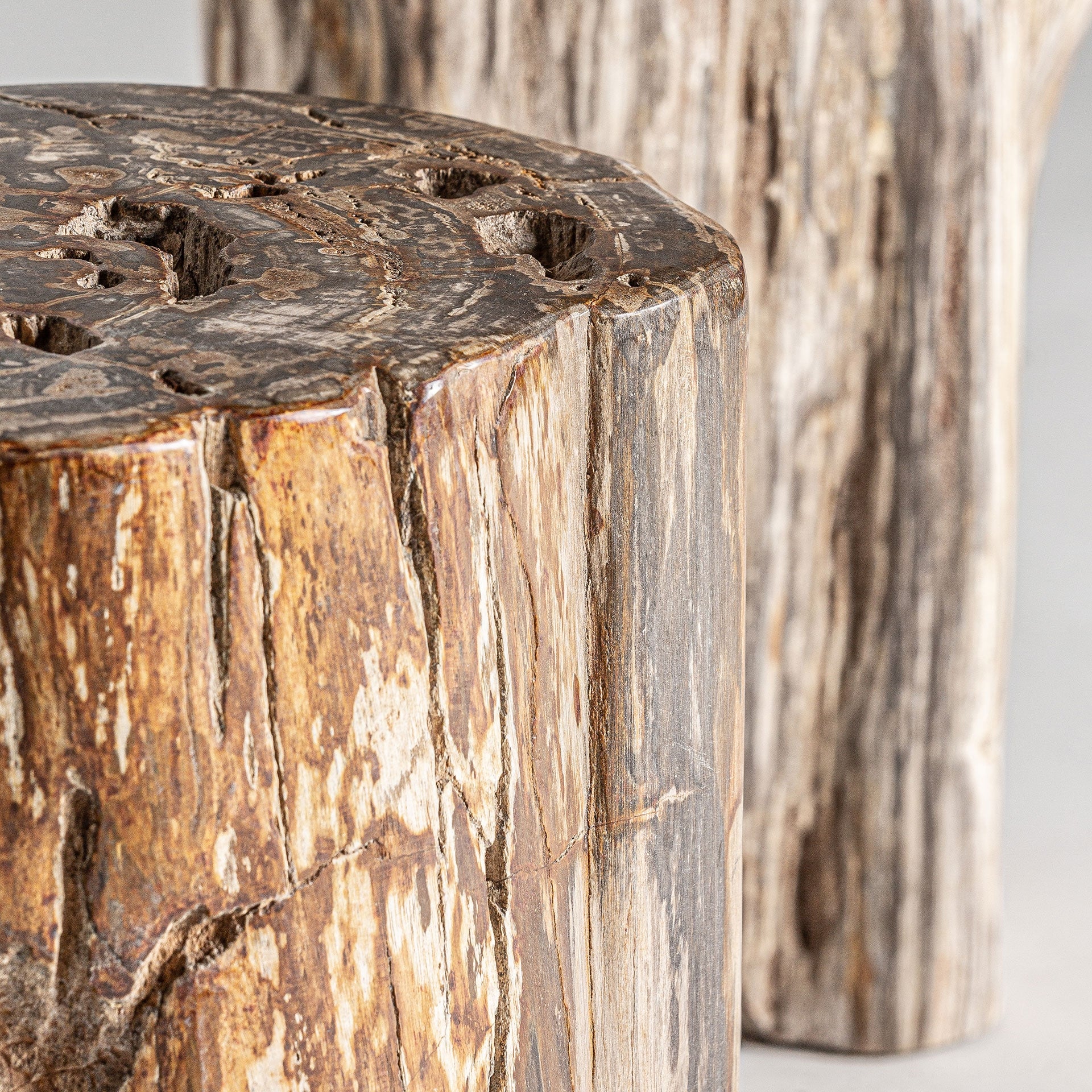 Beistelltisch TELTI aus braunem, versteinertem Holz