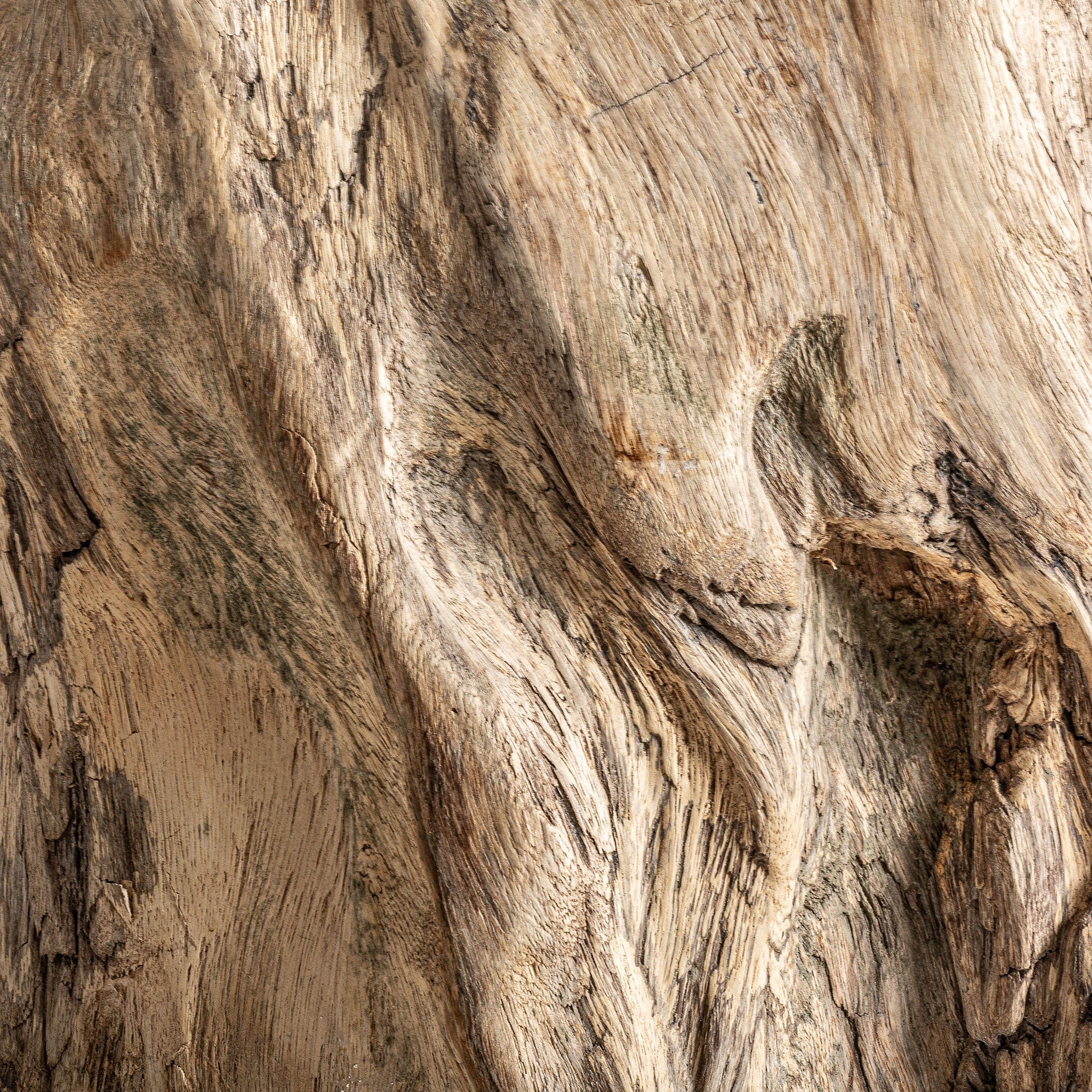 KHALED Suar Wood Coffee Table