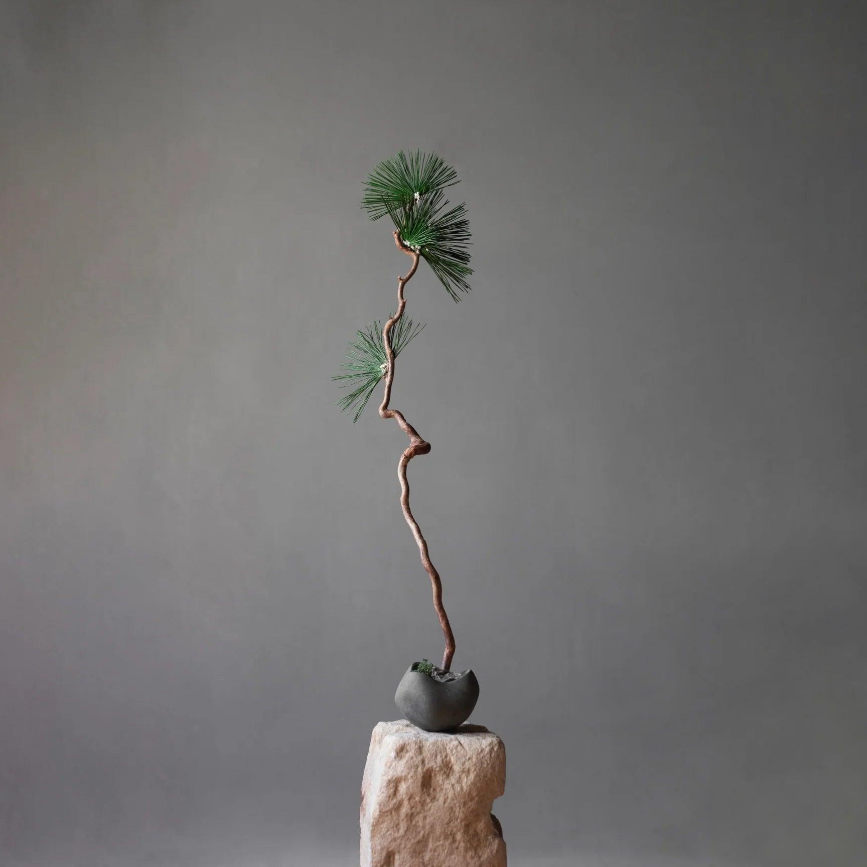 Misa CURVA ciemnoszary 101 Copenhagen Eye on Design