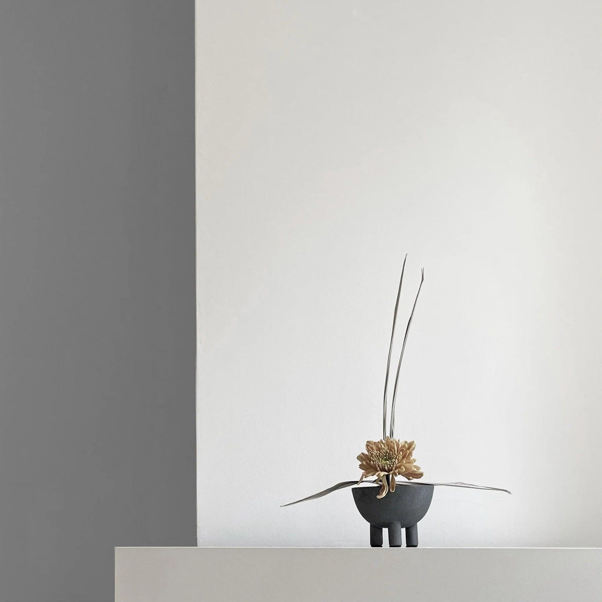 Misa DUCK BOWL ciemnoszary 101 Copenhagen Eye on Design