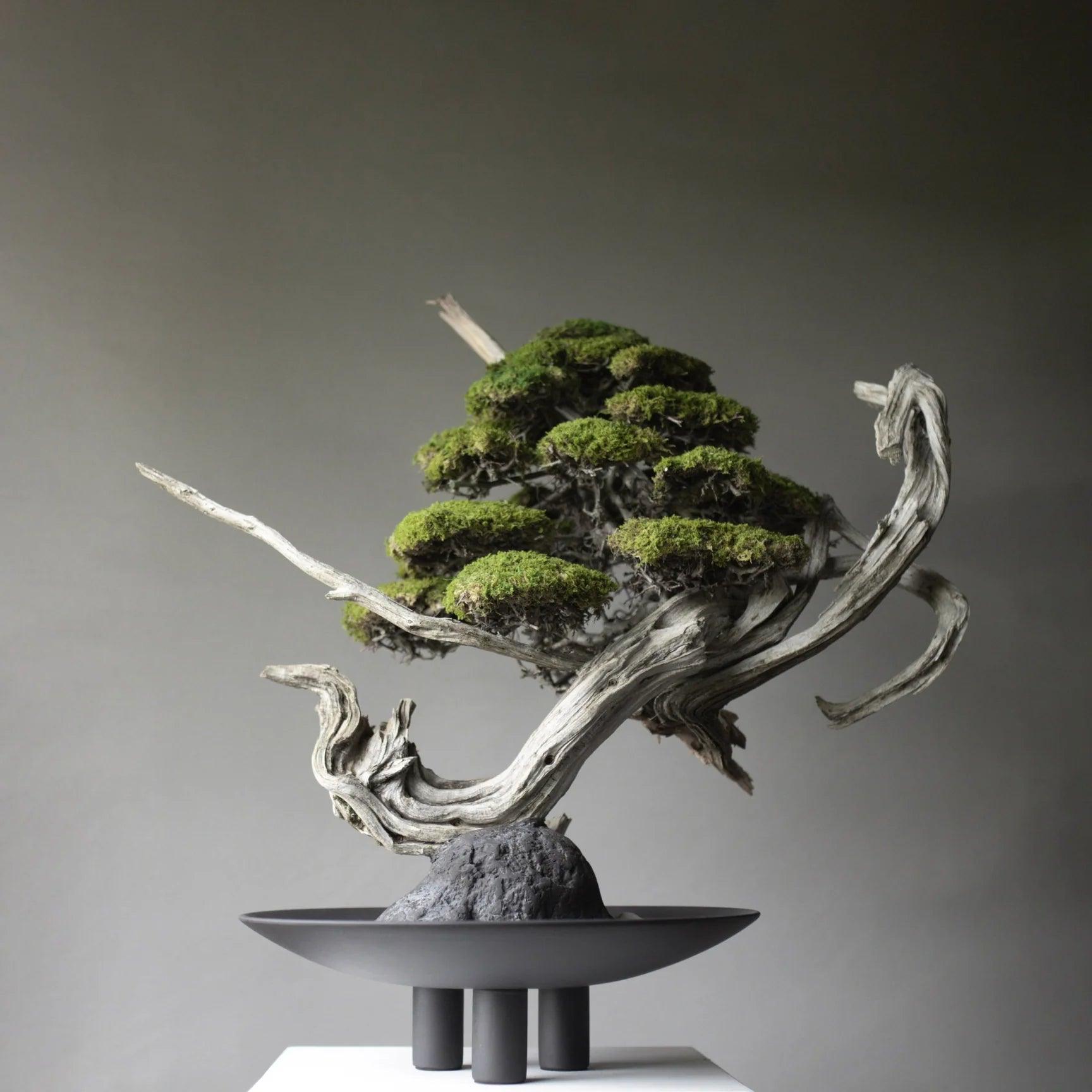 Misa DUCK PLATE ciemnobrązowy 101 Copenhagen Eye on Design