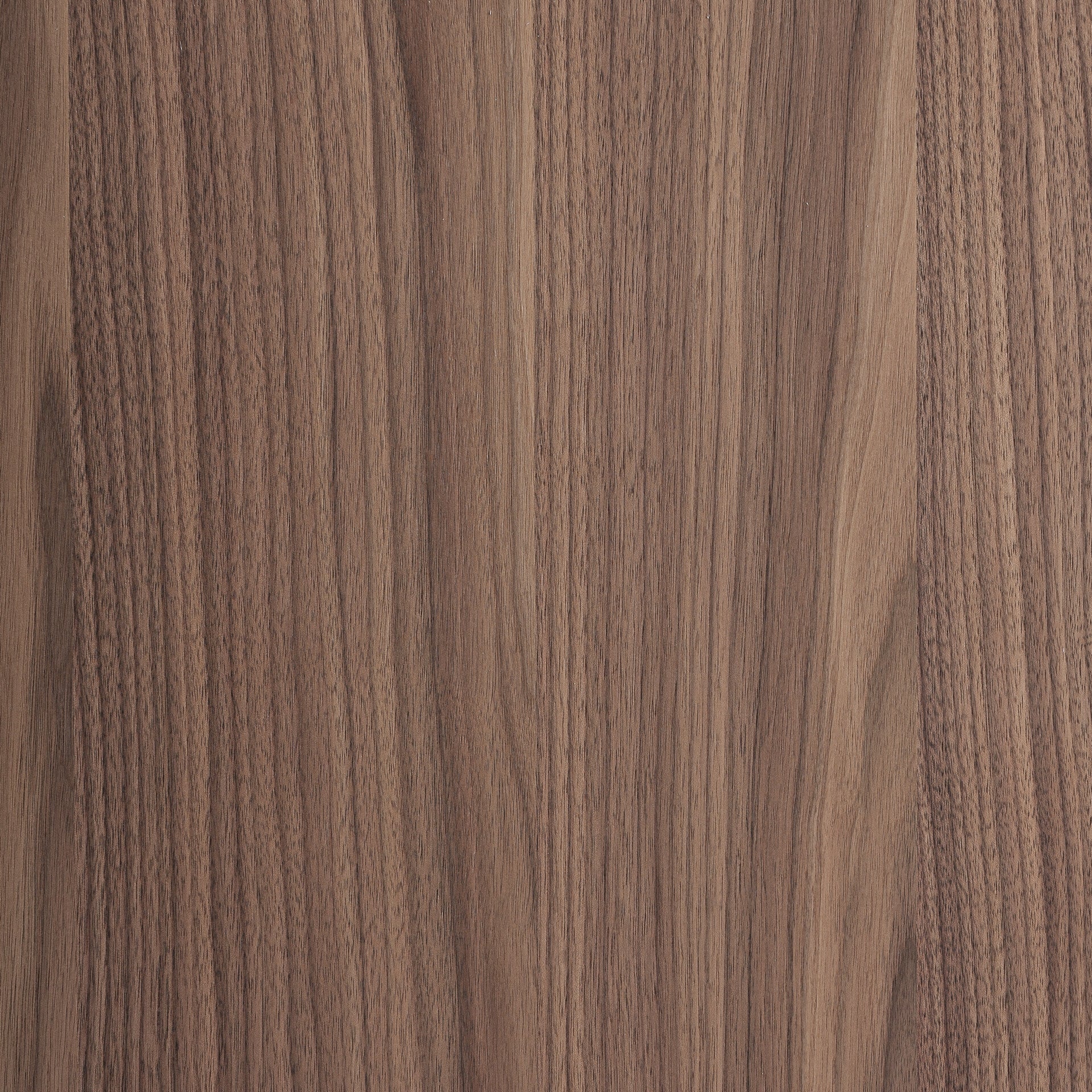 KEXBY Walnut Veneer TV Cabinet