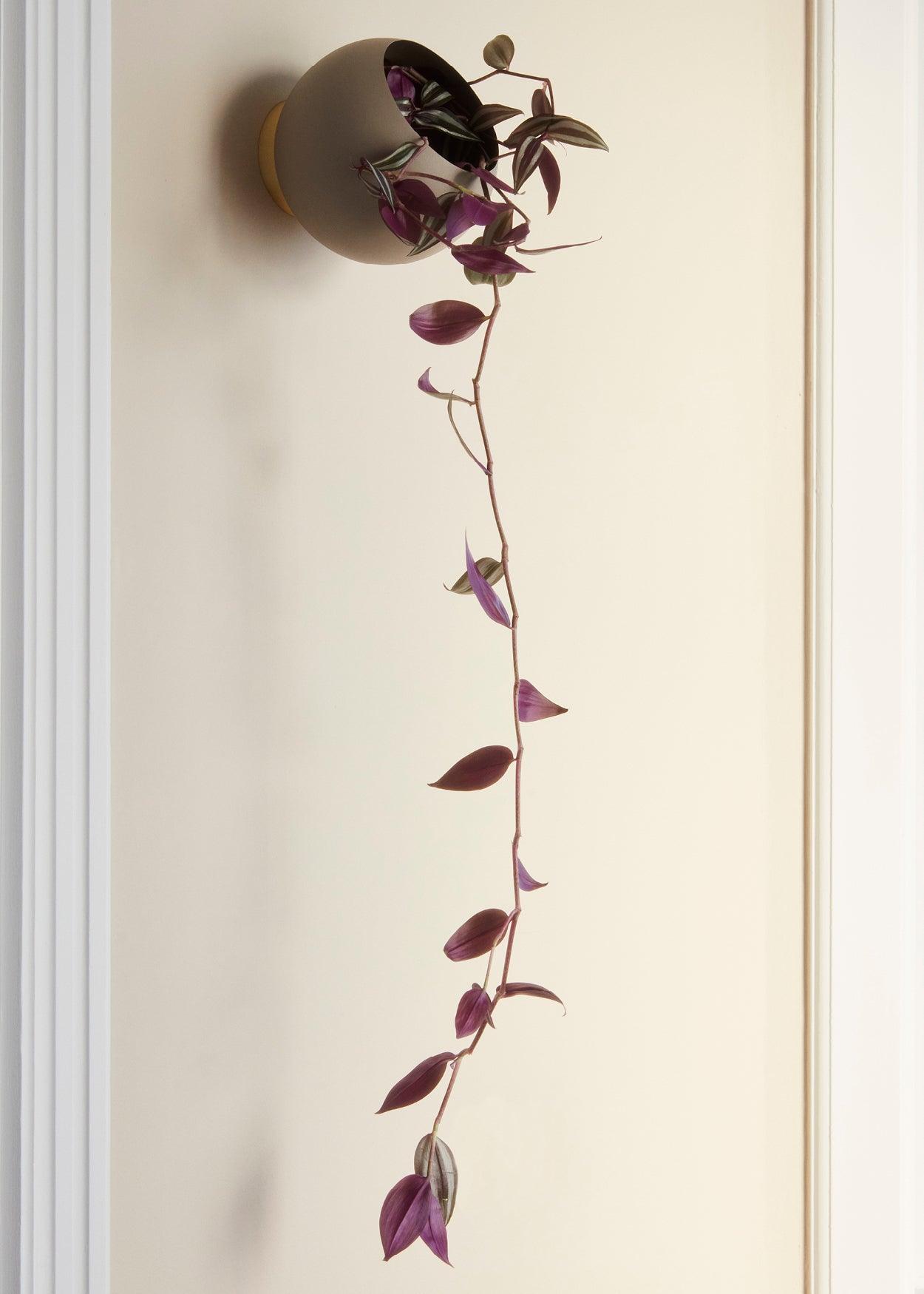 Osłonka ścienna GLOBE taupe AYTM Eye on Design