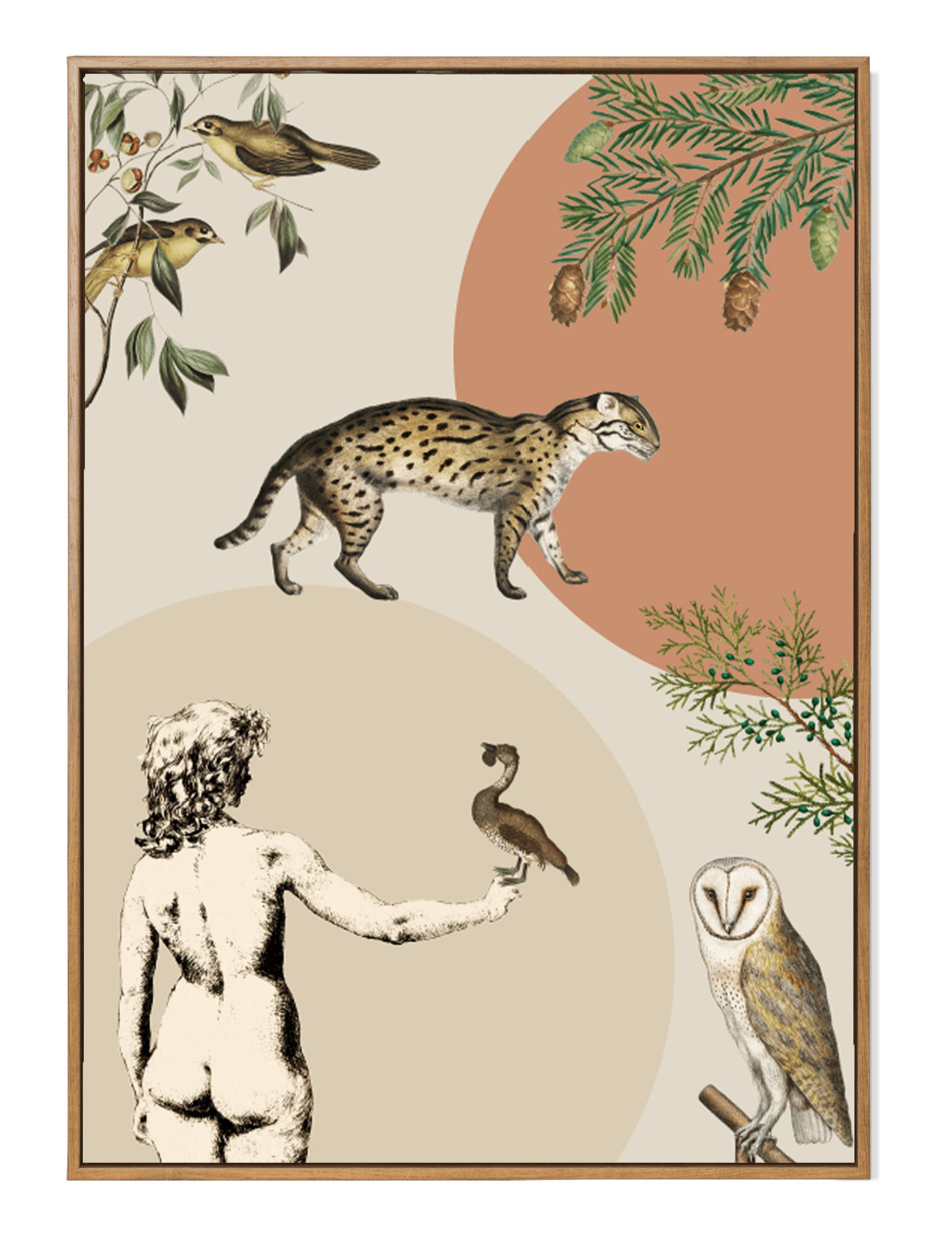 Plakat DAYDREAMING Eye on Design Eye on Design