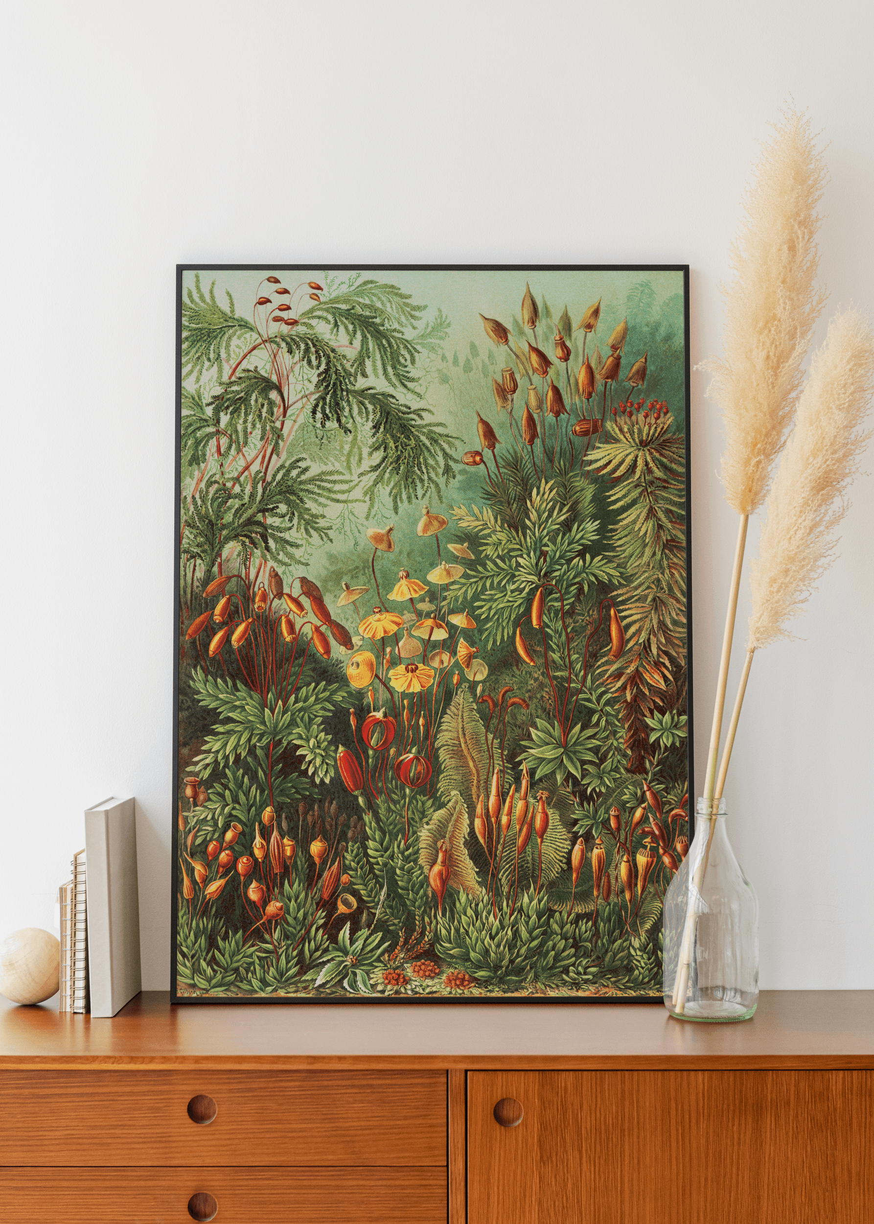 Plakat MUSCINAE Eye on Design Eye on Design