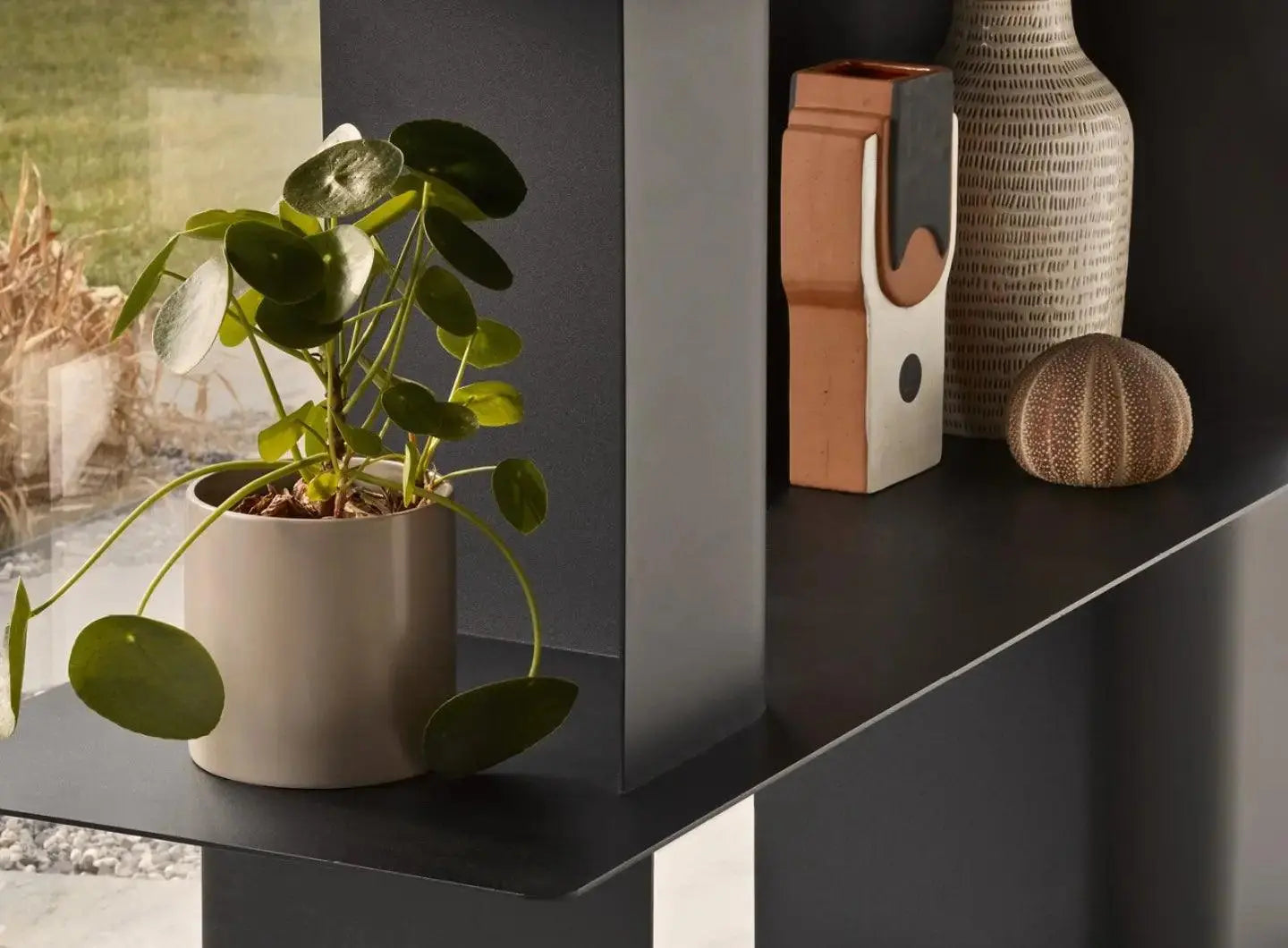 Regał CARV matowy brąz – Calligaris