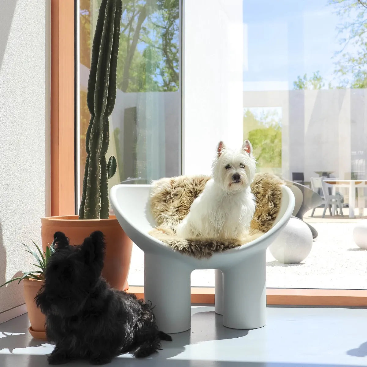 Fauteuil ROLY POLY lichtgrijs