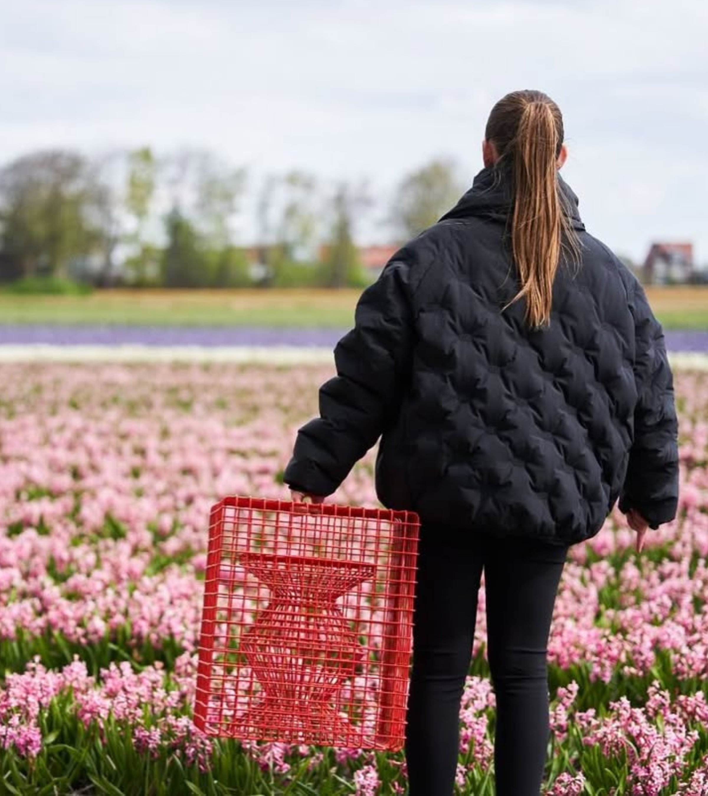 ZIG ZAG WIRE Dekohocker rot