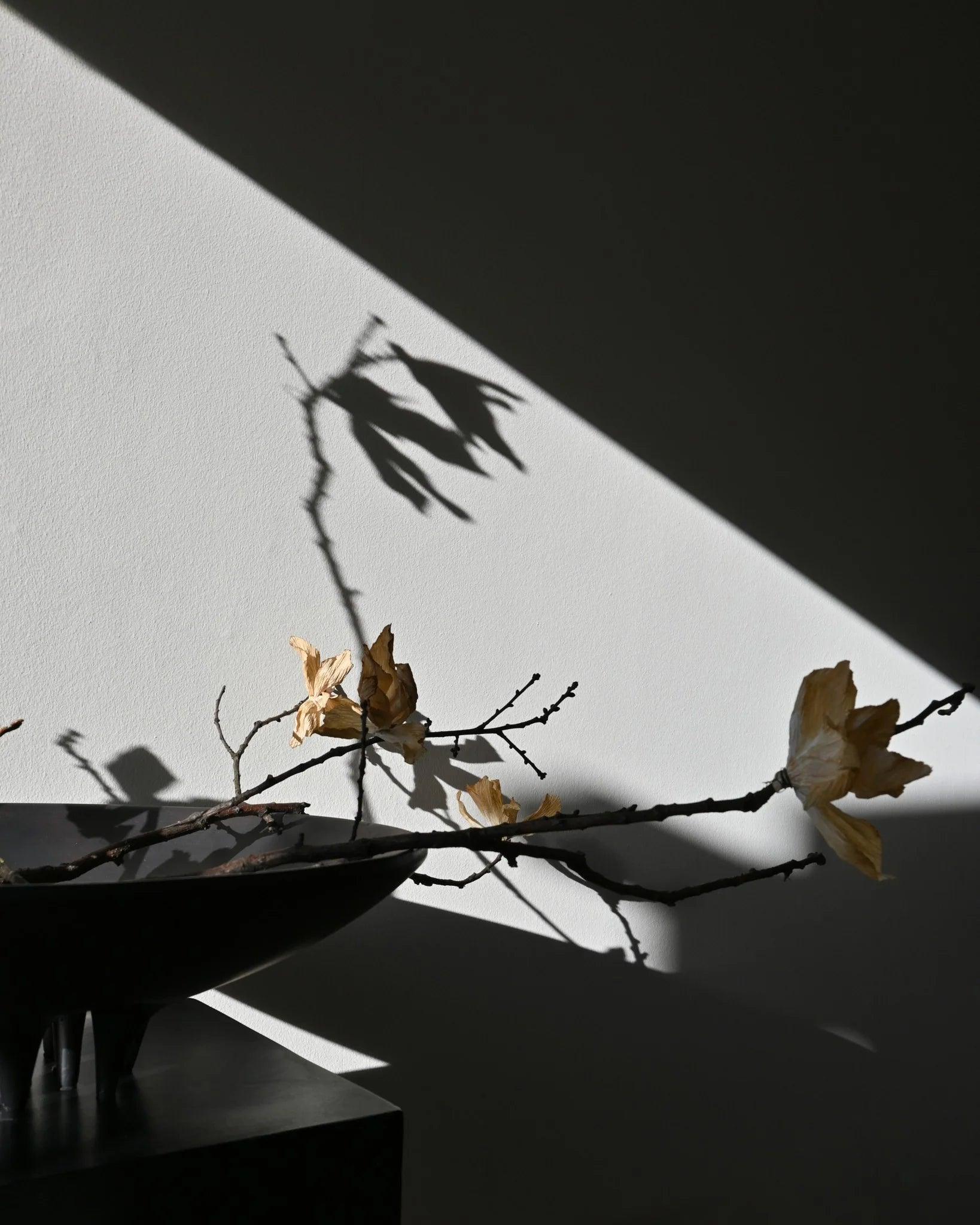 Taca MEDUSA ciemnobrązowy 101 Copenhagen Eye on Design