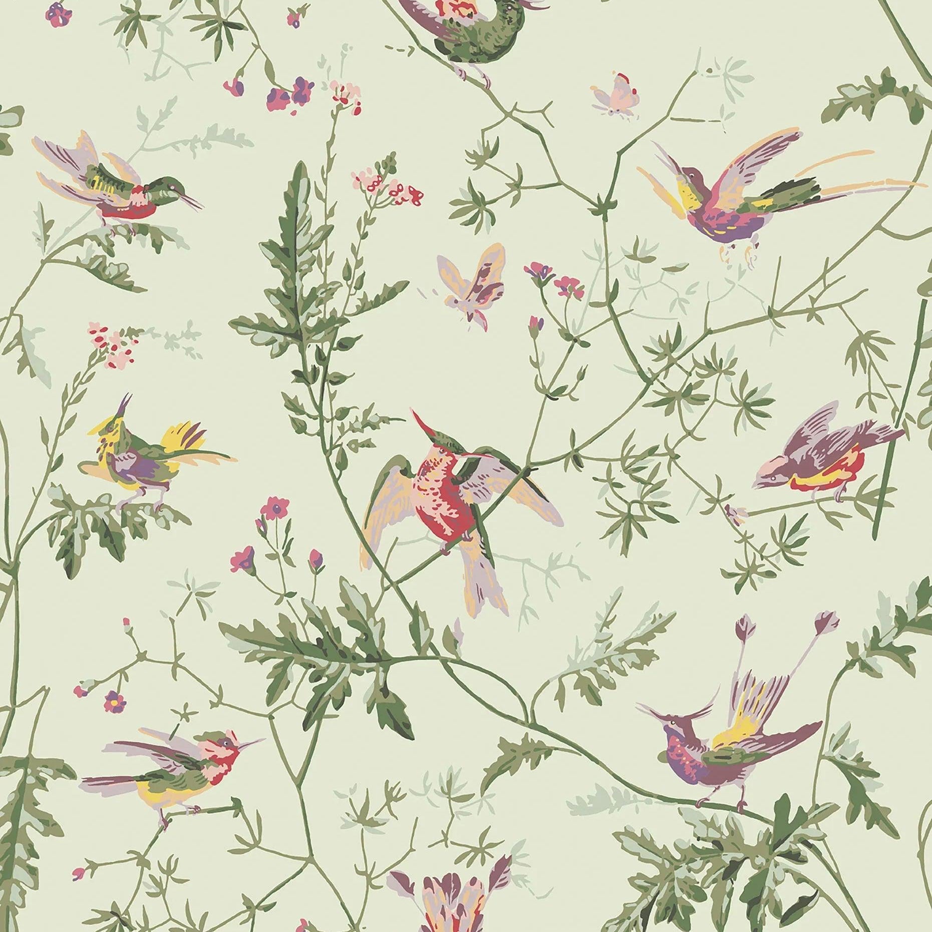 Tapeta ARCHIVE ANTHOLOGY - Hummingbirds oliwkowy na ciepłej zielony Cole & Son Eye on Design
