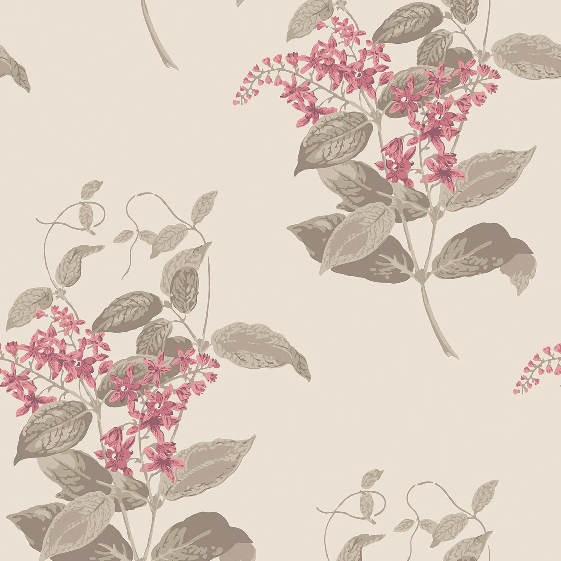 Tapeta ARCHIVE ANTHOLOGY - Madras Violet fuksja na pergaminie Cole & Son Default Title Eye on Design