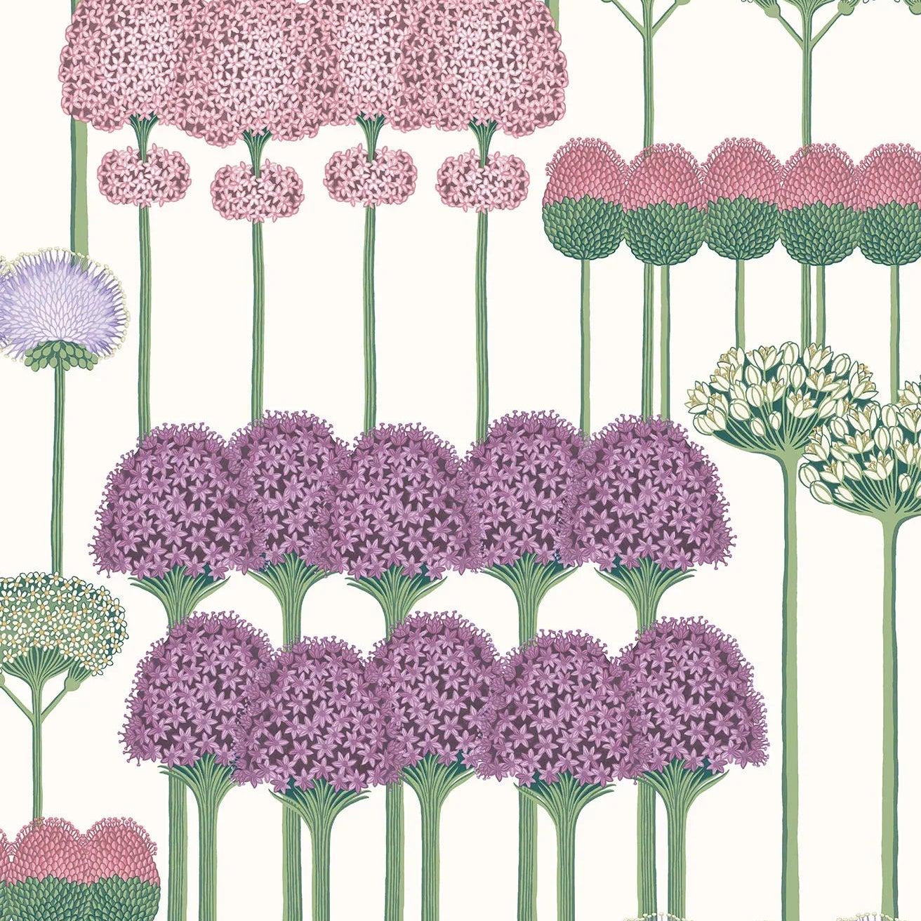 Tapeta BOTANICAL BOTANICA - Allium róż na bieli Cole & Son Eye on Design