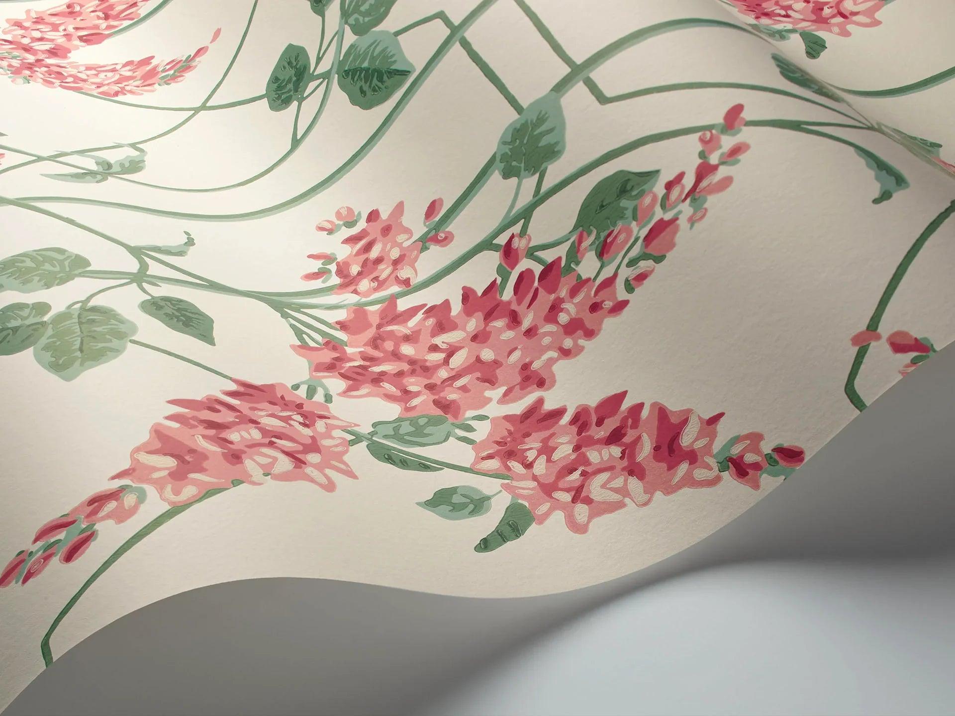 Tapeta BOTANICAL BOTANICA - Wisteria koral na białym Cole & Son Eye on Design