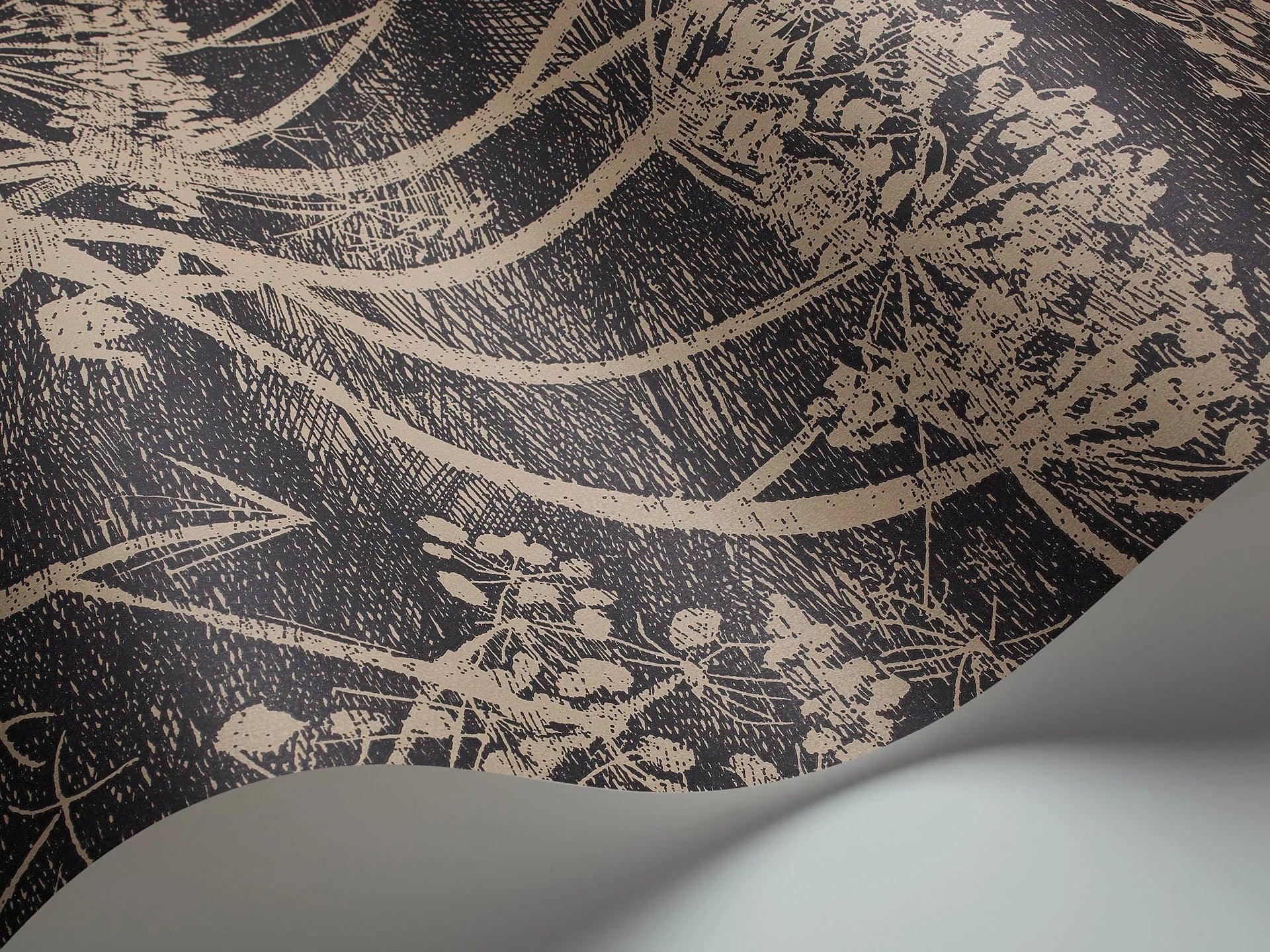 Tapeta CONTEMPORARY COLLECTION - Cow Parsley ciemny brąz Cole & Son Eye on Design
