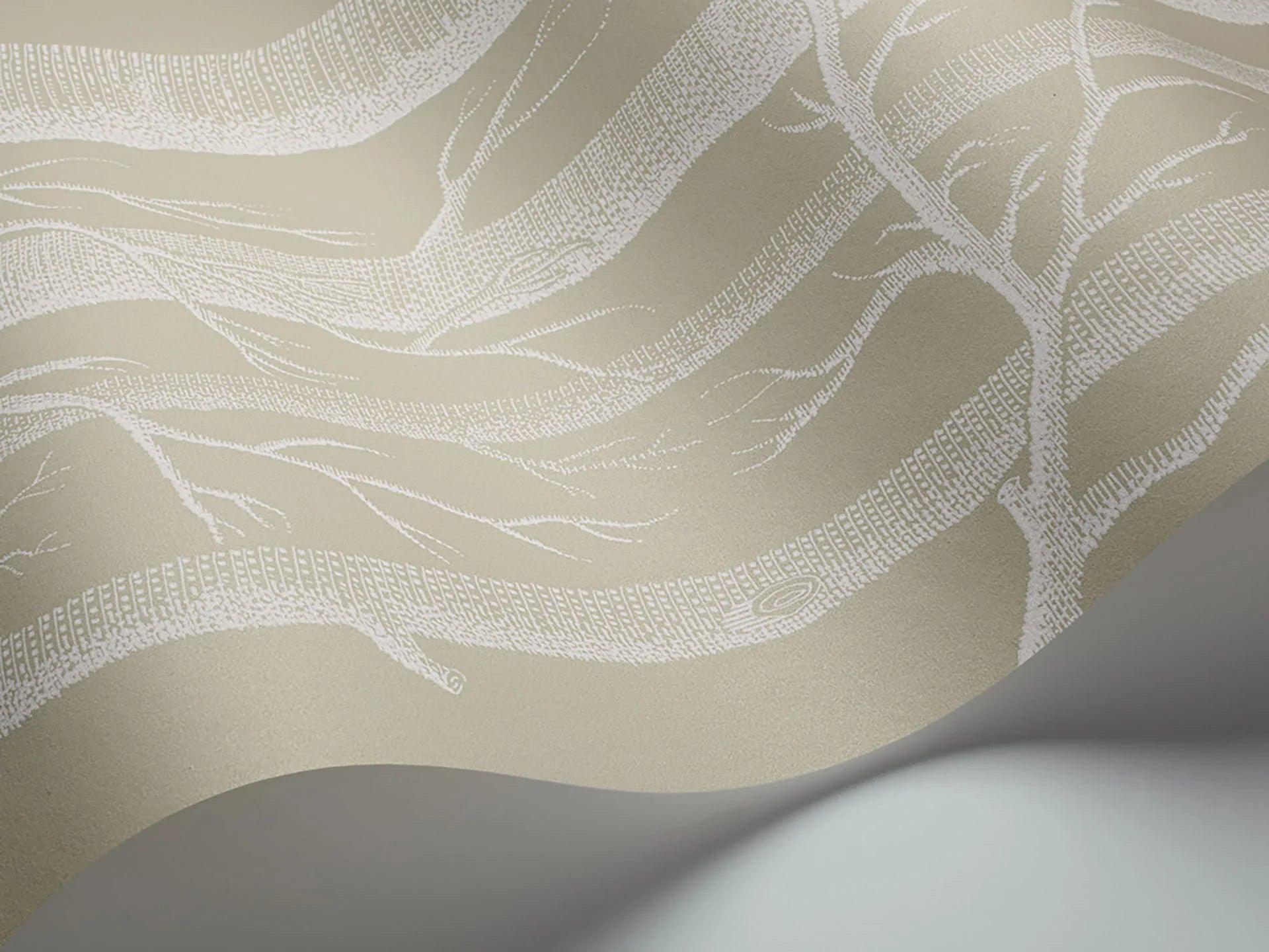 Tapeta CONTEMPORARY COLLECTION - Woods oliwkowy Cole & Son Eye on Design