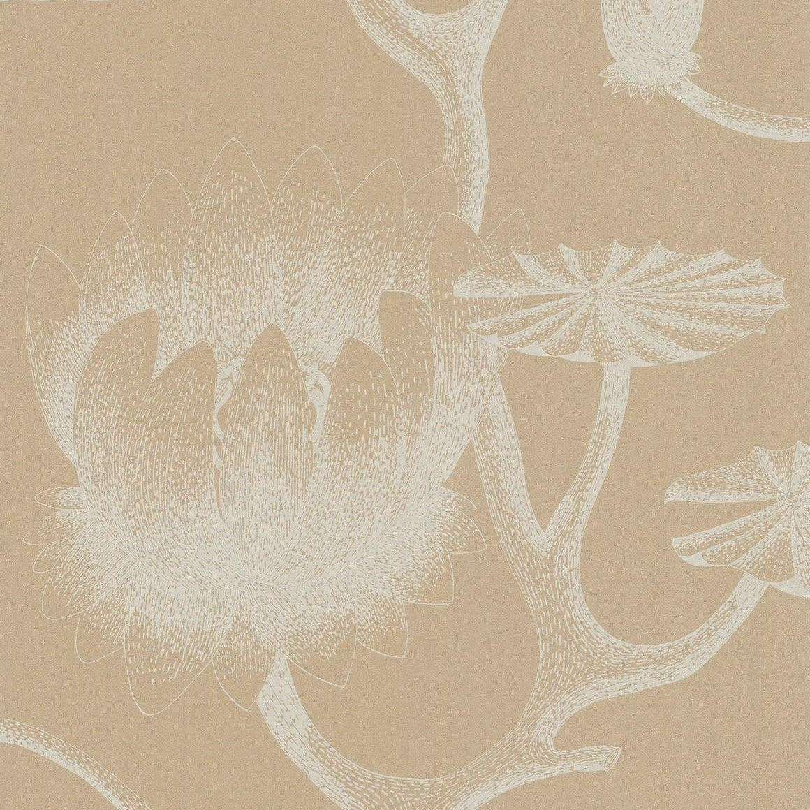 Tapeta CONTEMPORARY RESTYLED - Lily piaskowy Cole & Son Default Title Eye on Design