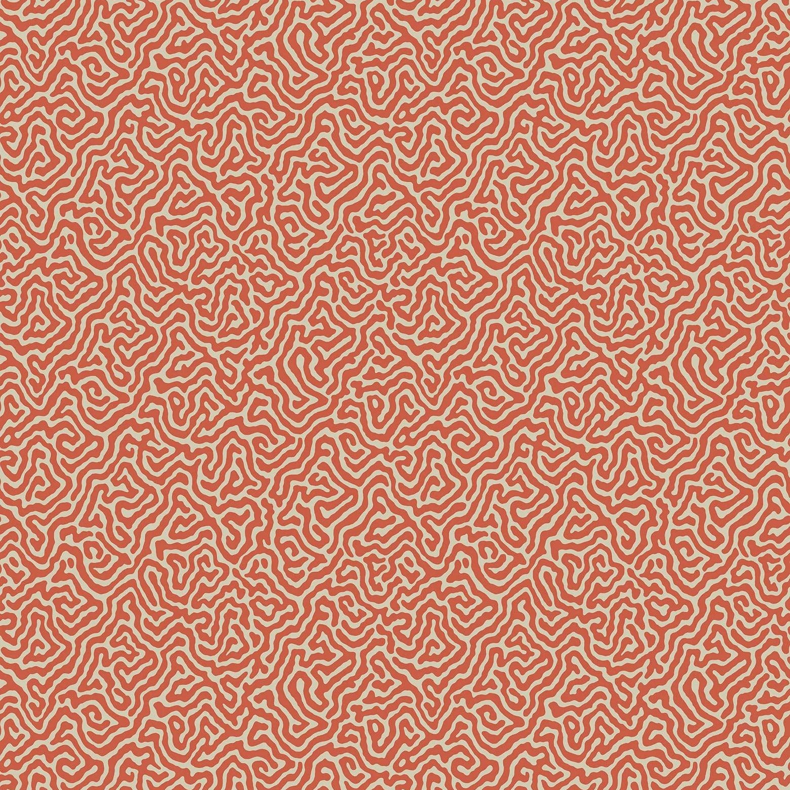 Tapeta CURIO - Vermicelli koral Cole & Son Default Title Eye on Design
