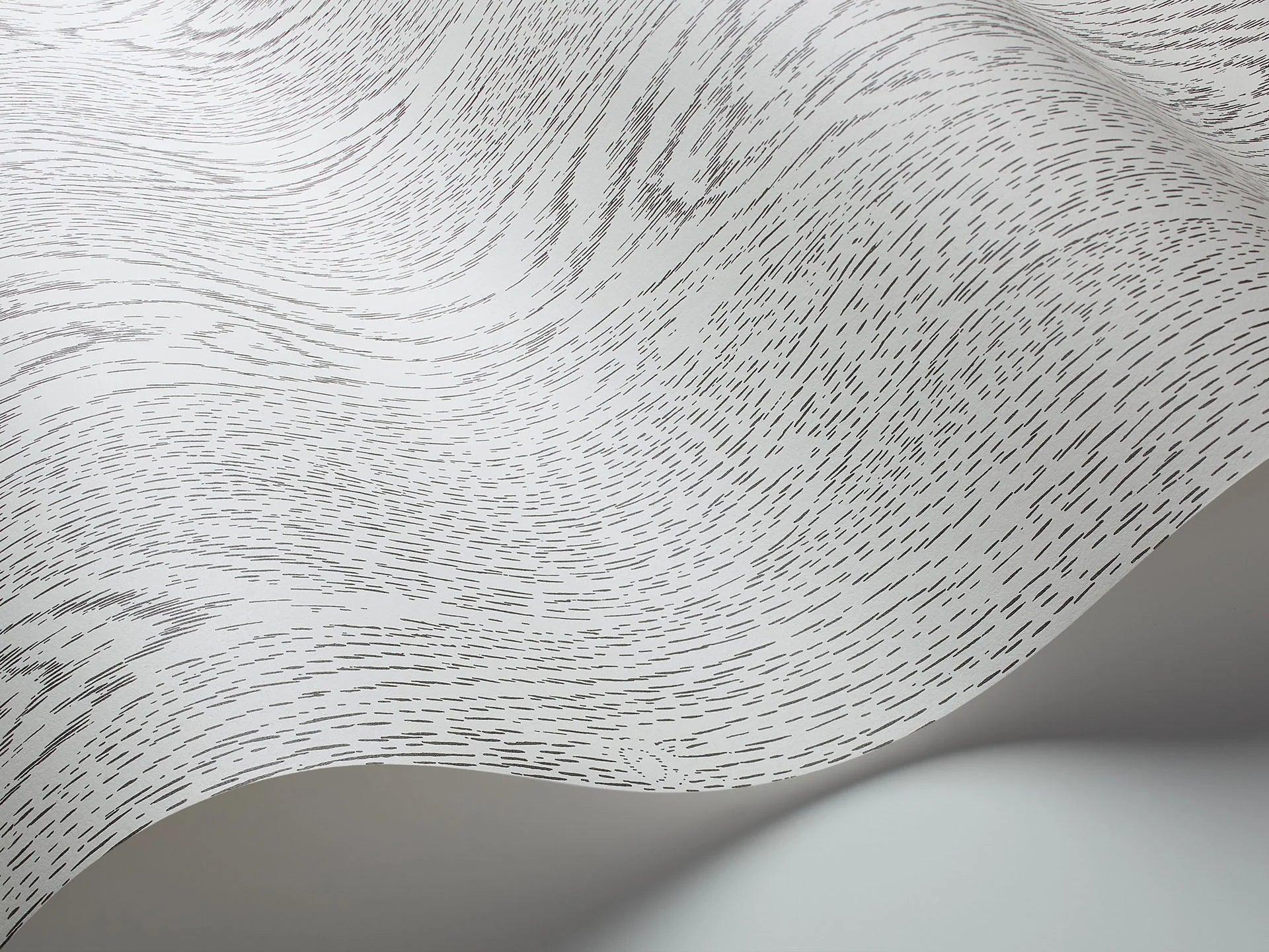 Tapeta CURIO - Wood Grain biały Cole & Son Eye on Design