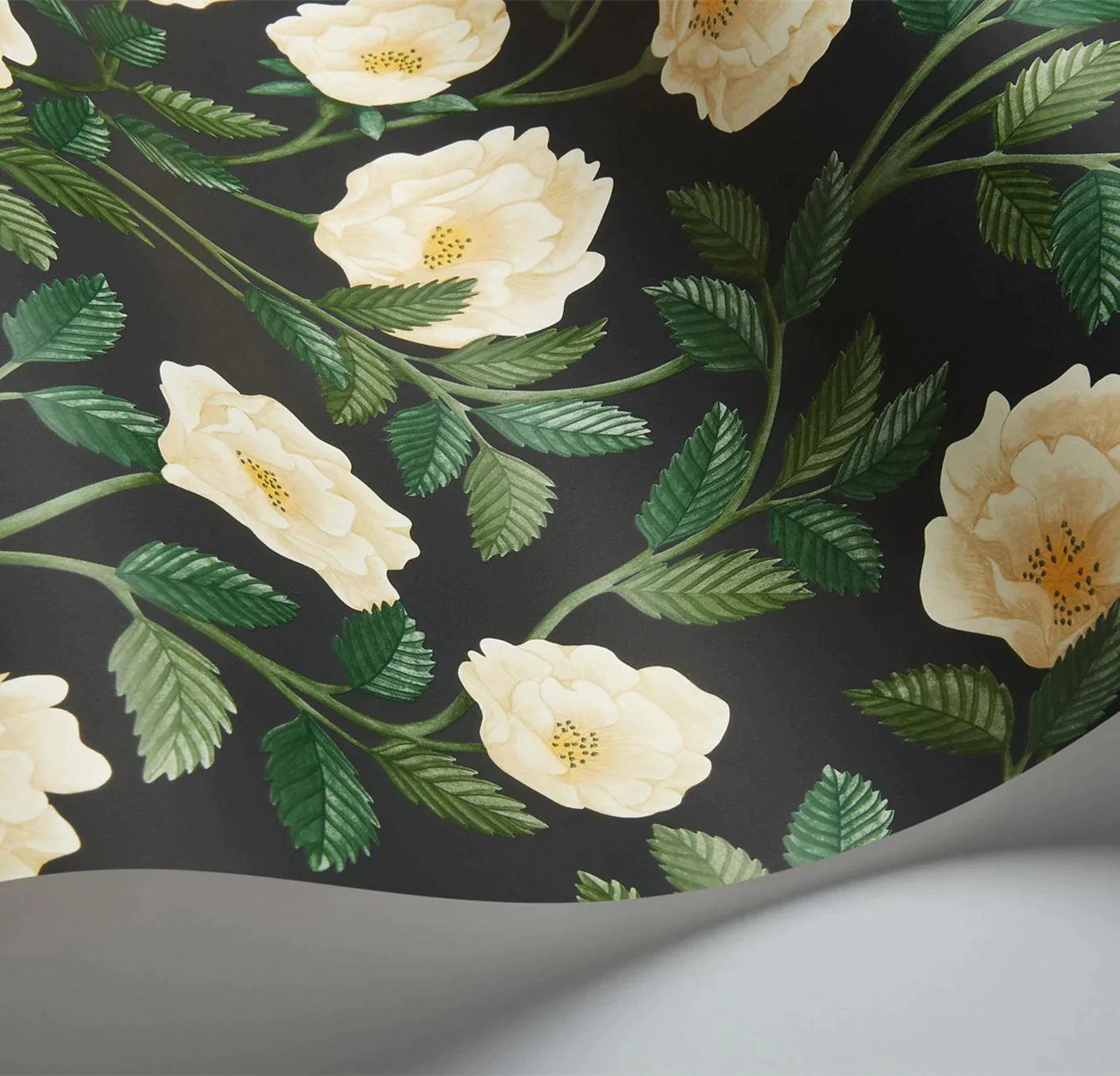 Tapeta HRP GREAT MASTERS - Hampton Roses czarny Cole & Son Eye on Design