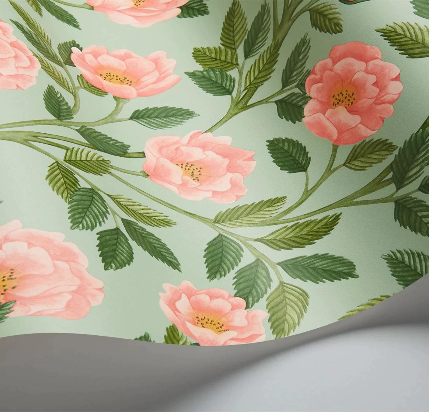 Tapeta HRP GREAT MASTERS - Hampton Roses zielony Cole & Son Eye on Design