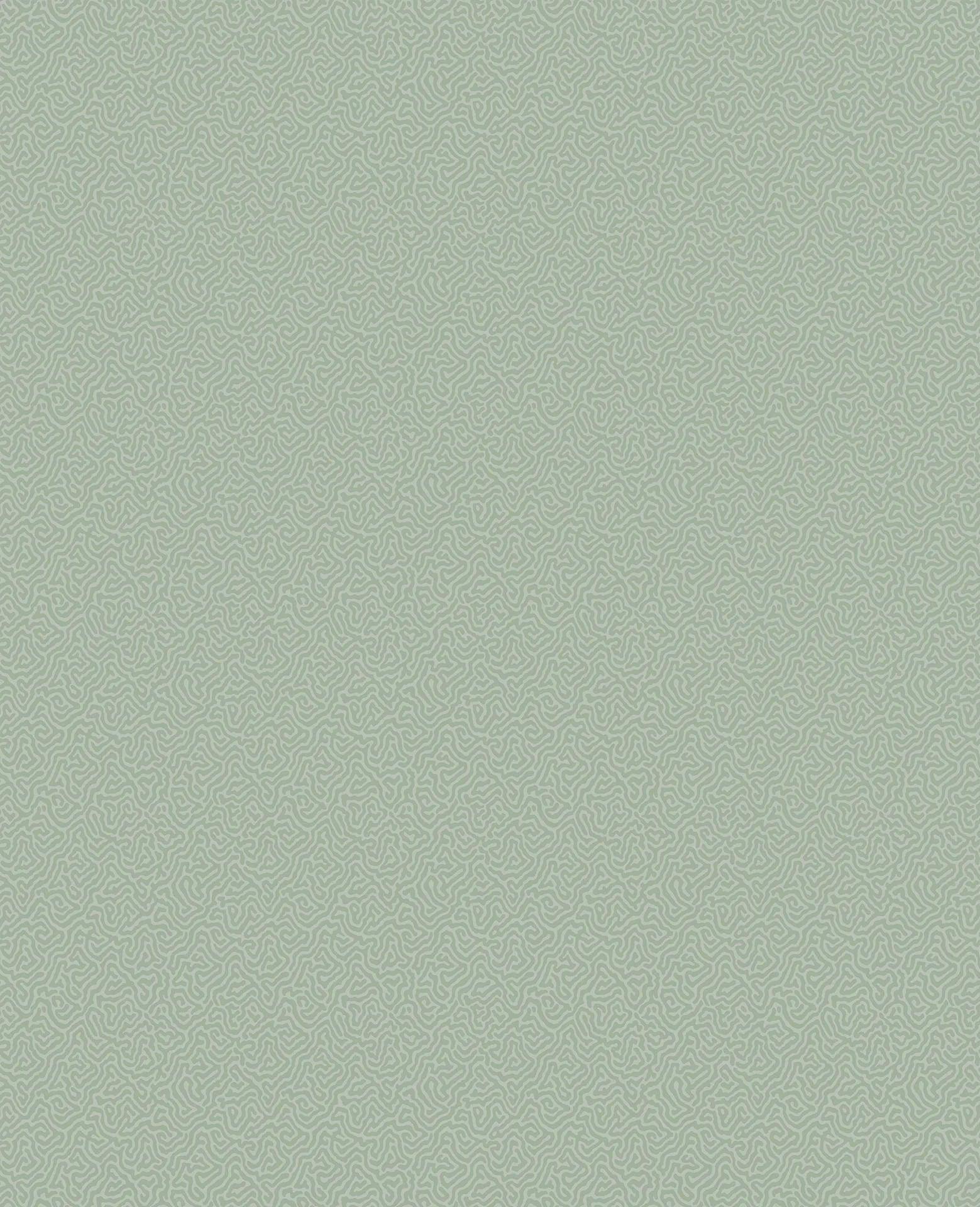 Tapeta LANDSCAPE PLAINS - Coral zielony Cole & Son Eye on Design