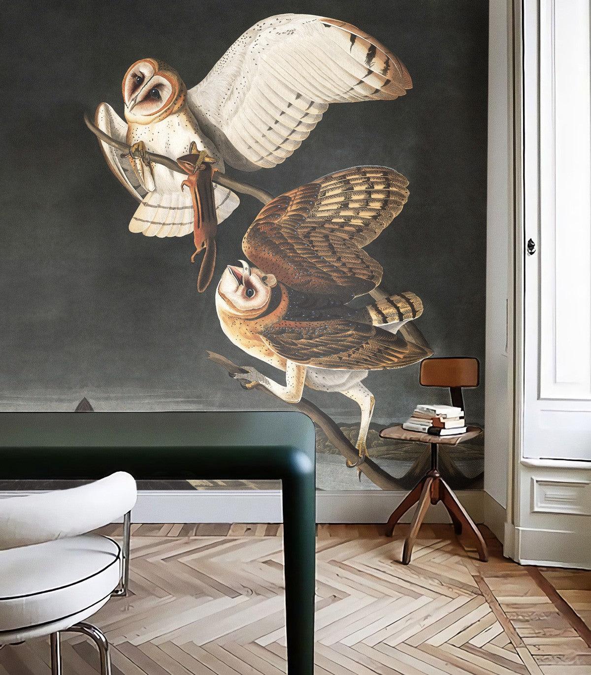 Tapeta OWLS Wallcolors Eye on Design