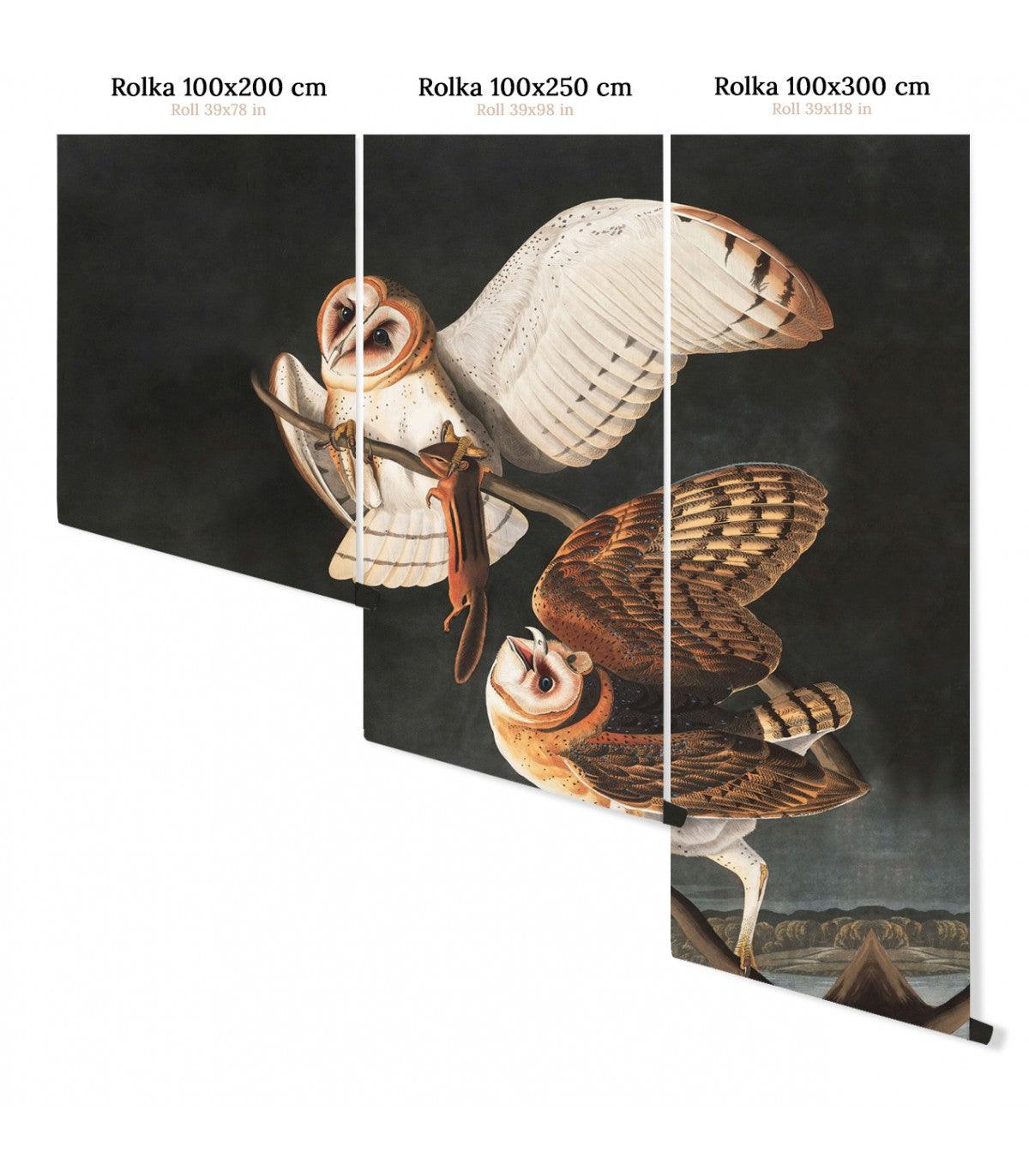 Tapeta OWLS Wallcolors Eye on Design