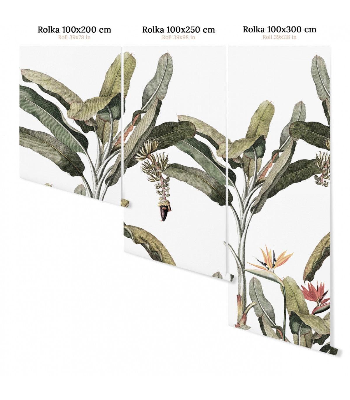 Tapeta PALM FOREST Wallcolors Eye on Design