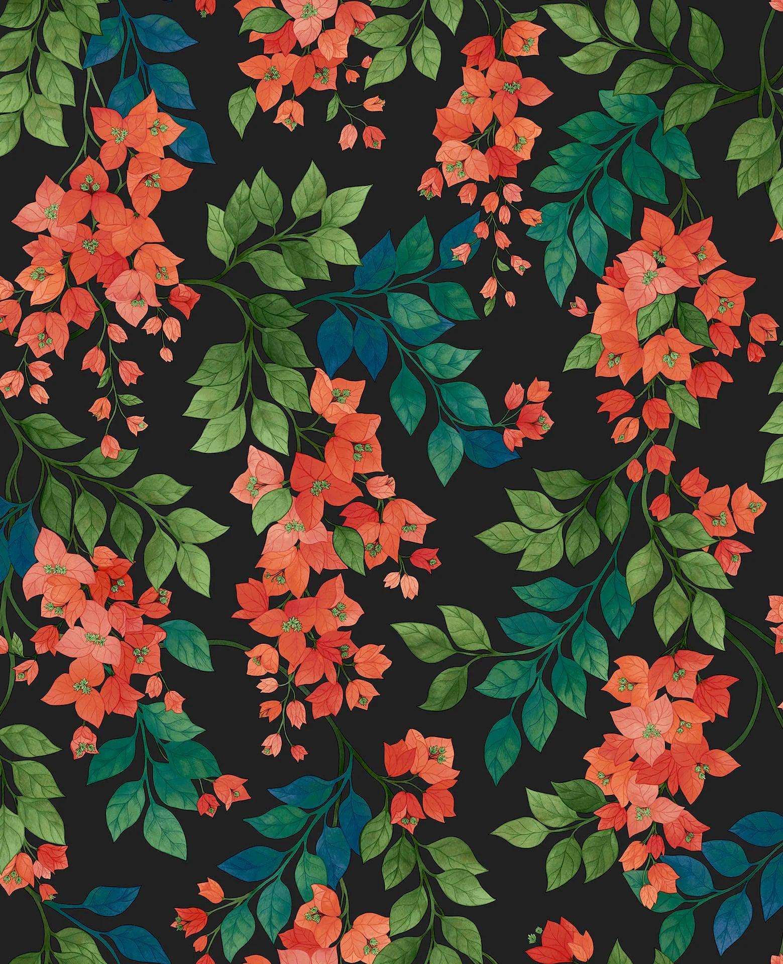 Tapeta SEVILLE - Bougainvillea czerwony na czerni Cole & Son Eye on Design