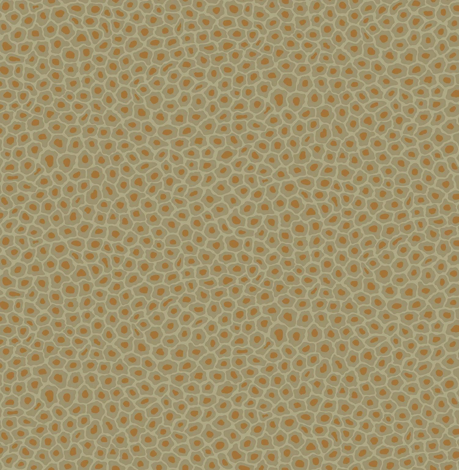 Tapeta THE ARDMORE COLLECTION - Senzo Spot oliwkowy Cole & Son Eye on Design